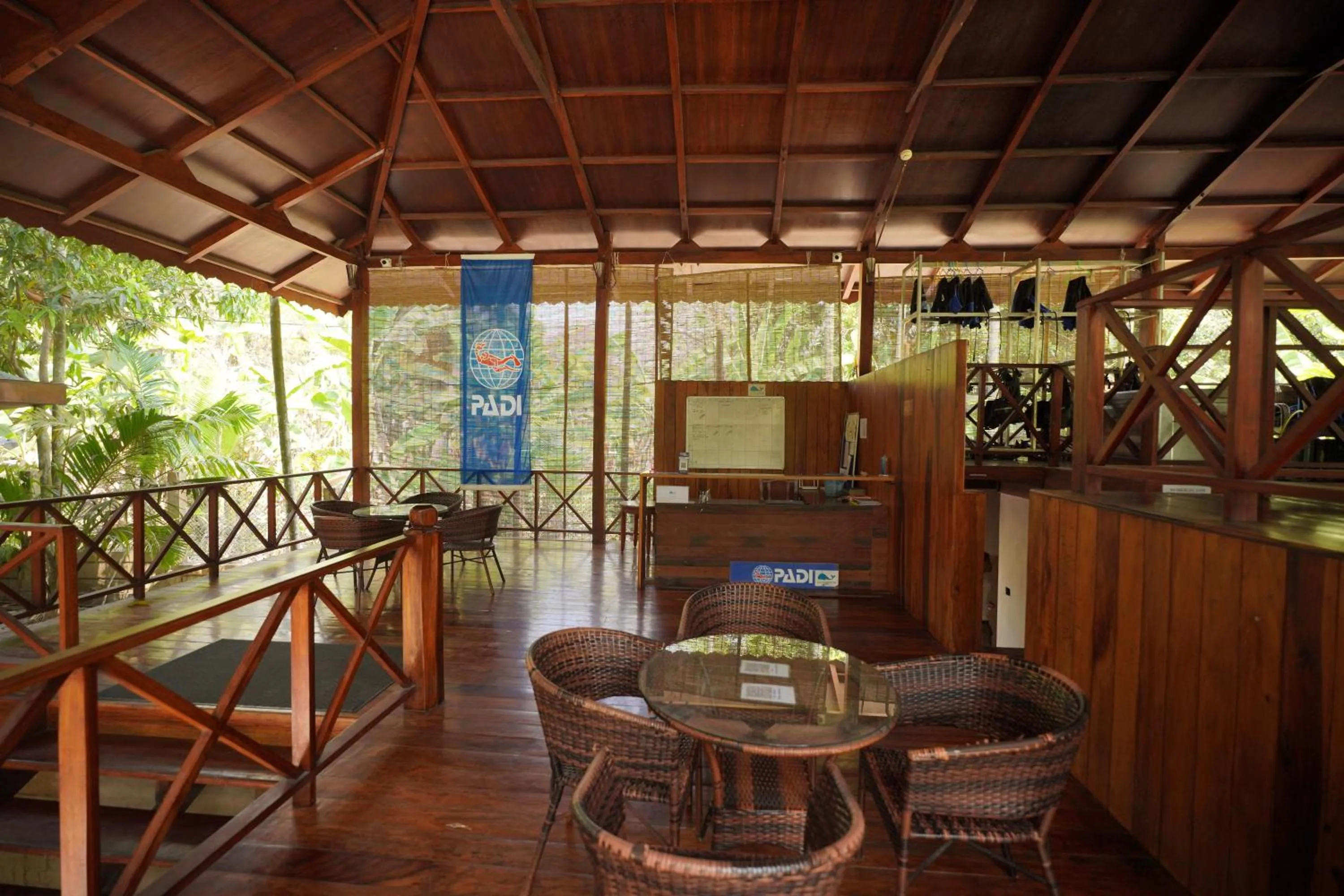 Activities in Sea Shell Neil