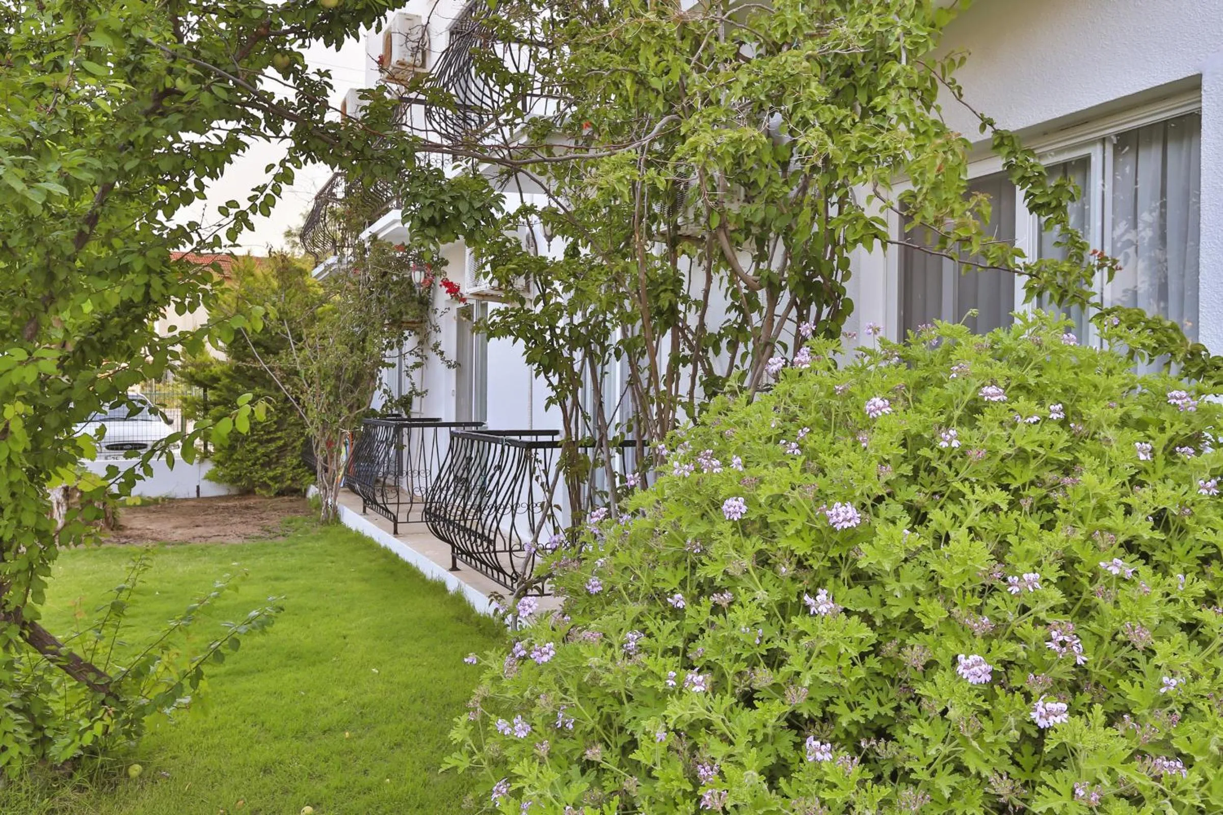 Garden in Kiraz Butik Hotel