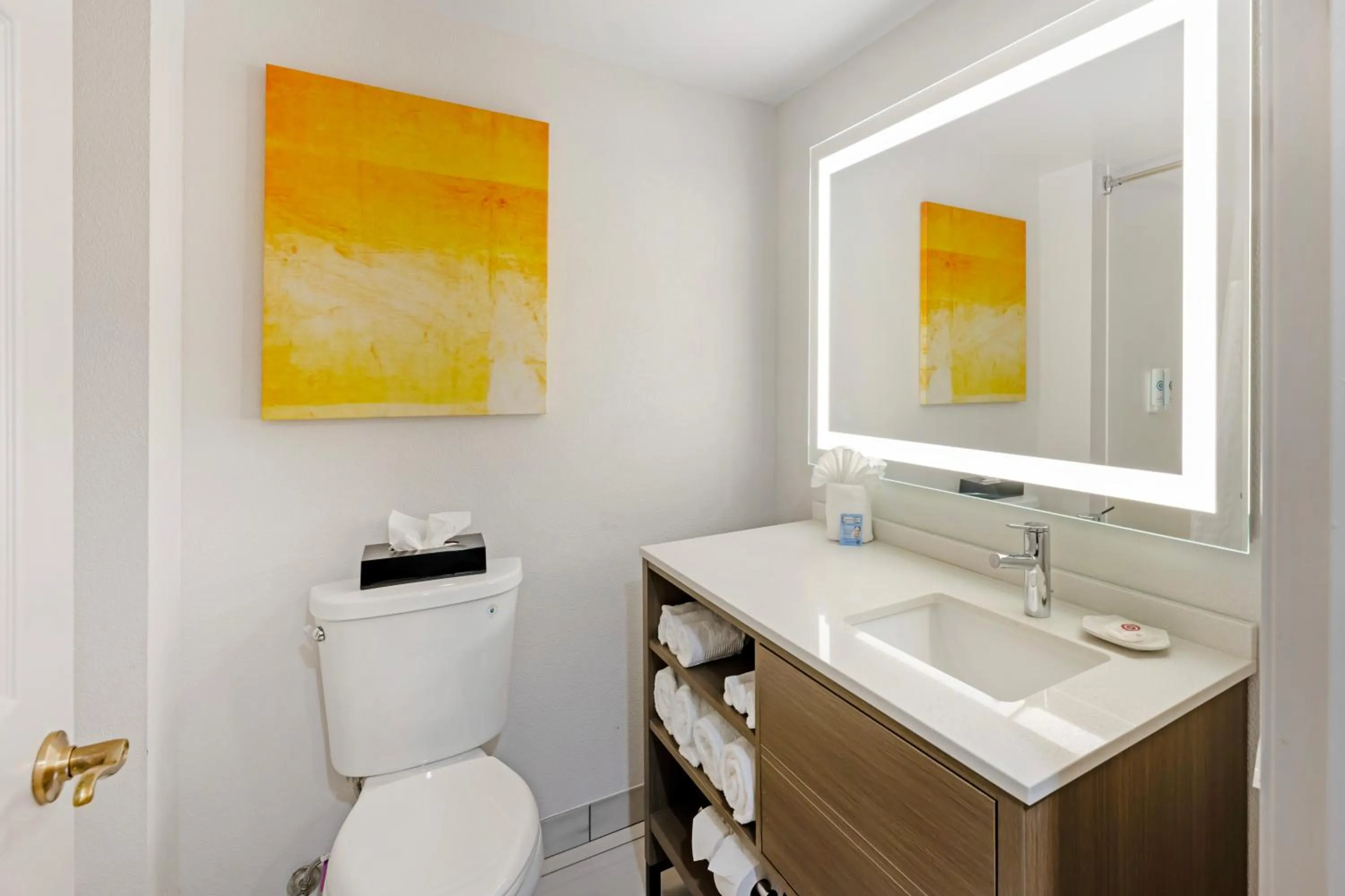 Bathroom in Wingate by Wyndham - Arlington Heights