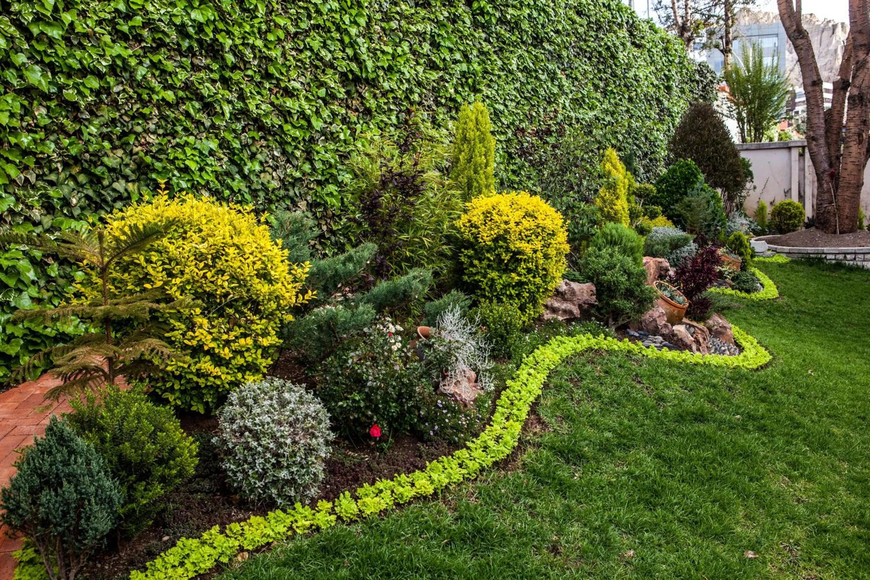 Garden in Hotel Boutique Rosario Sur