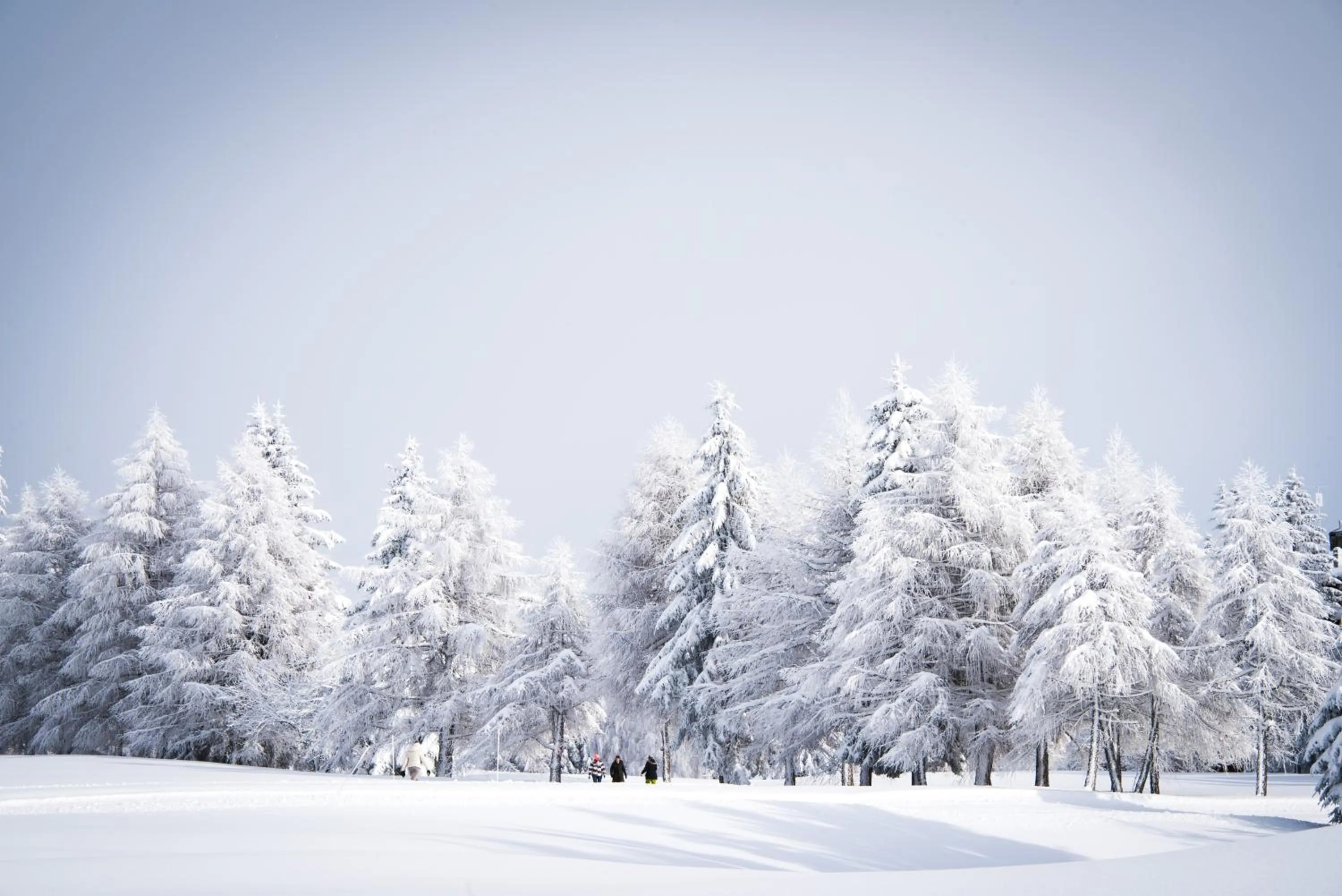 Off site in Crans Ambassador