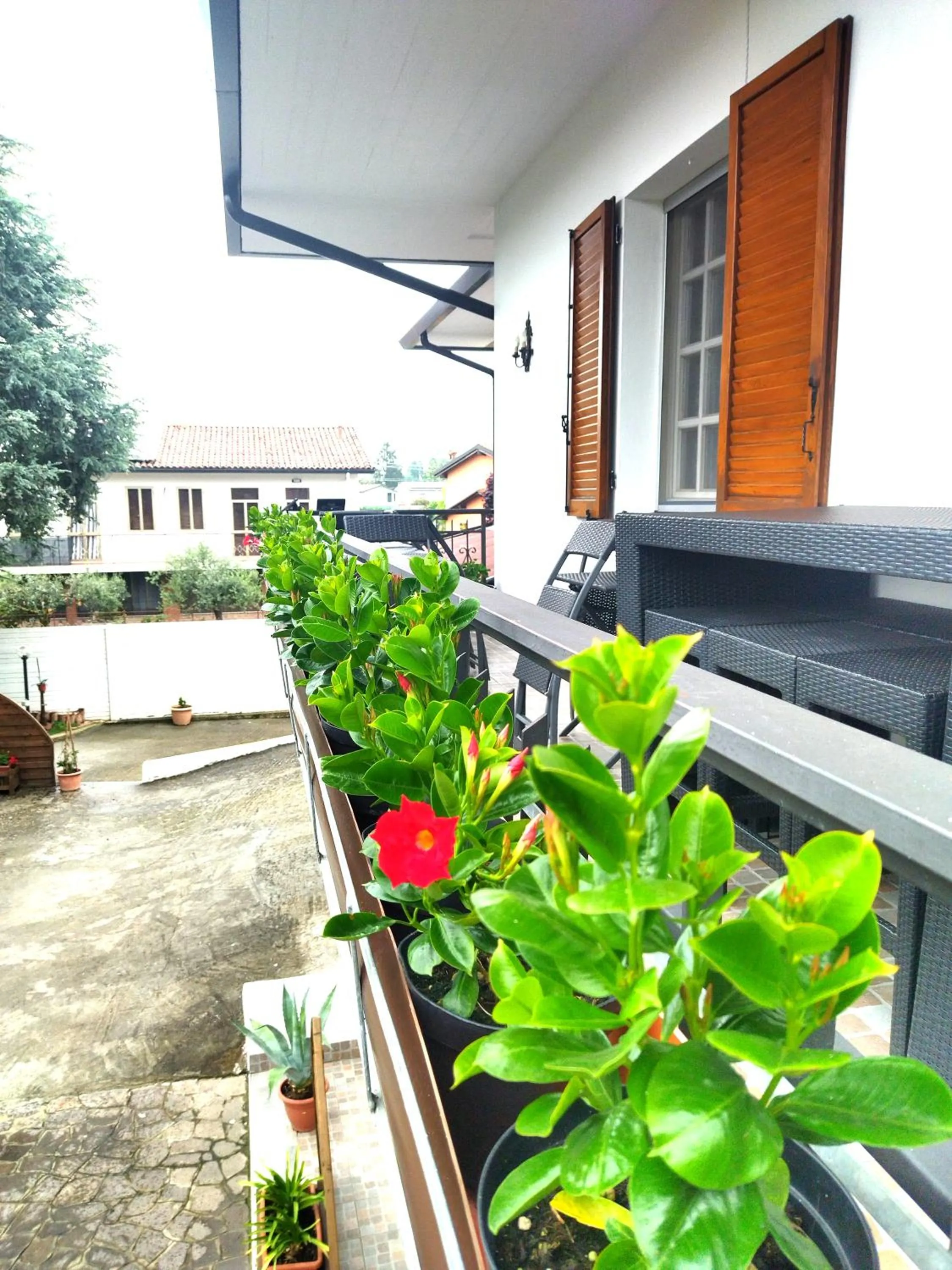 Spring in VILLA MOLINELLA