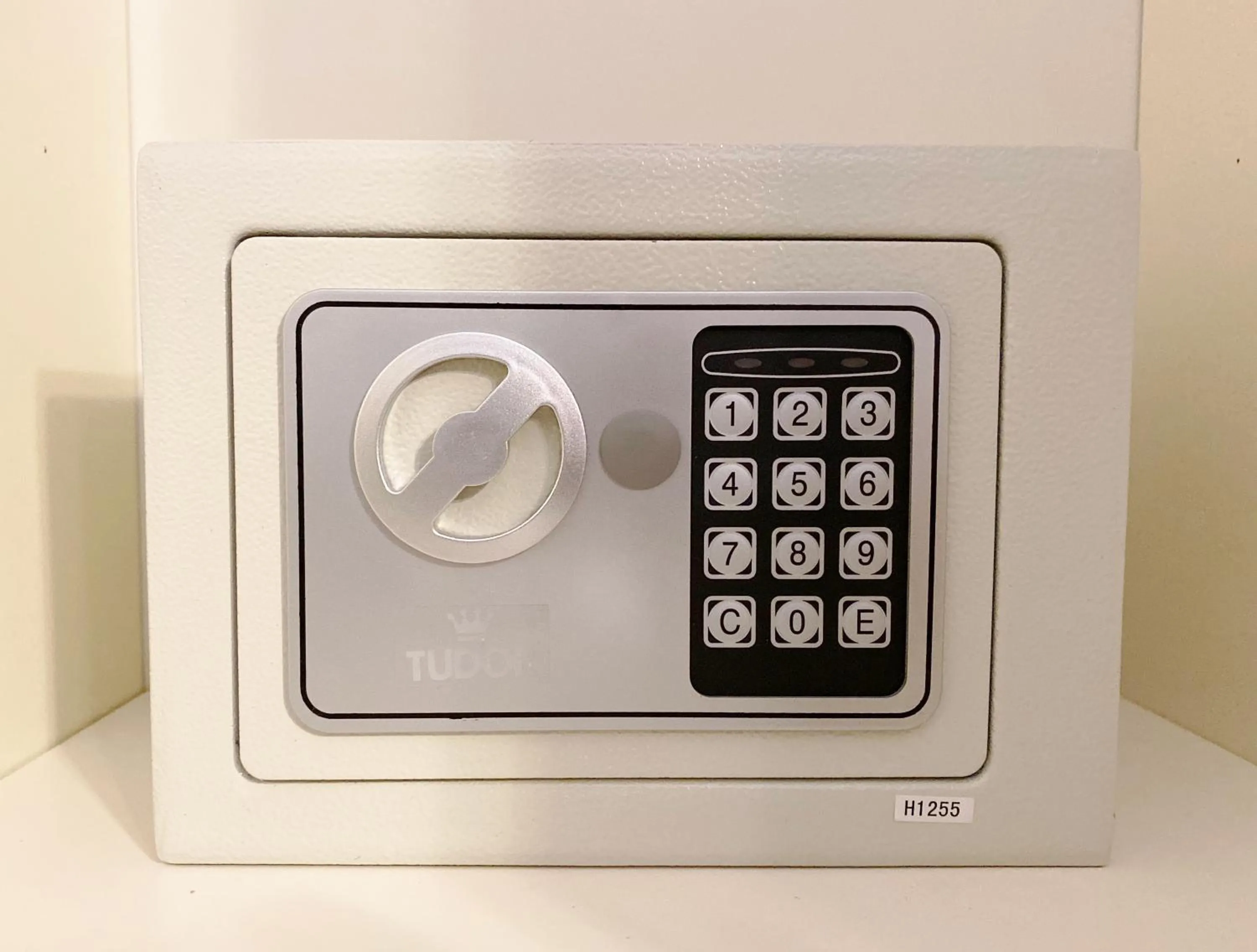 safe in VILLA MOLINELLA