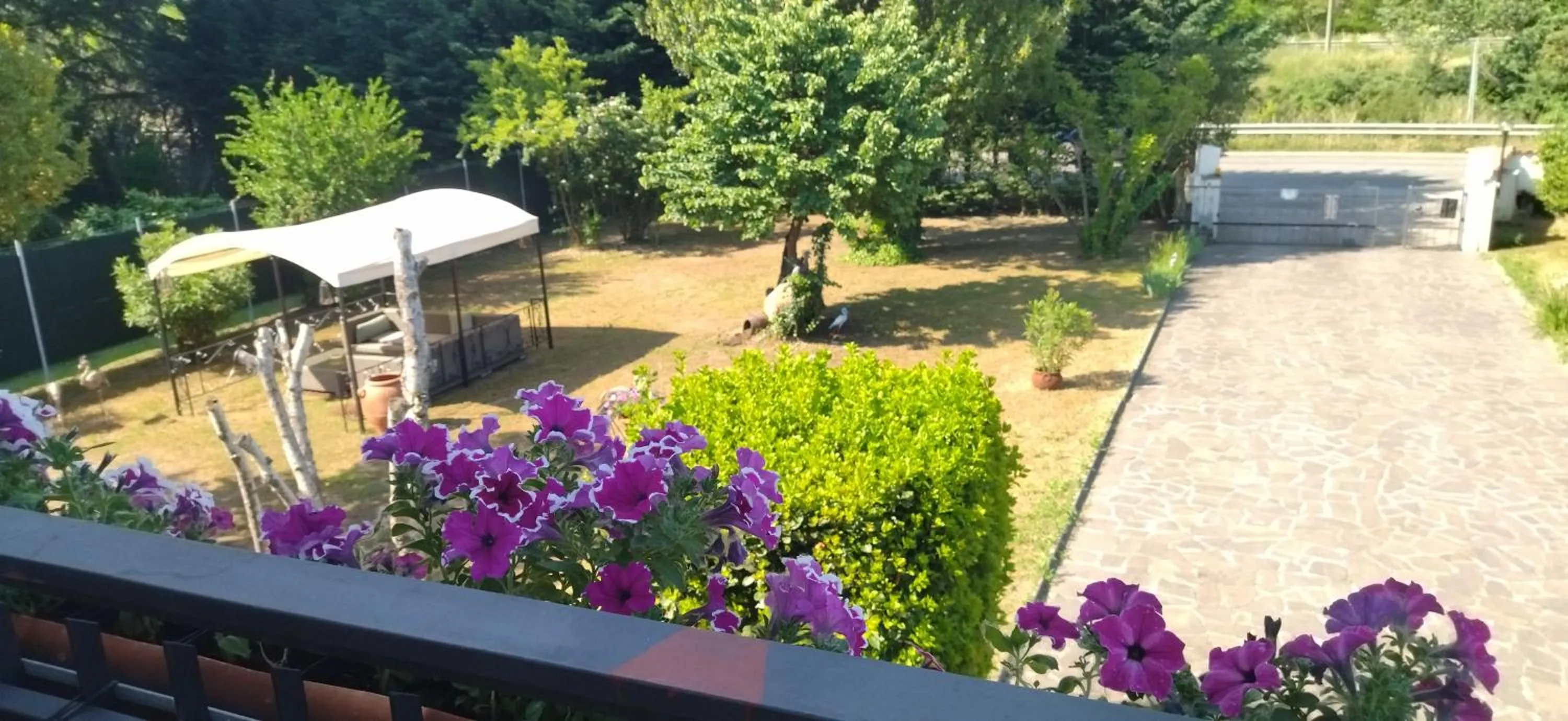 Day in VILLA MOLINELLA