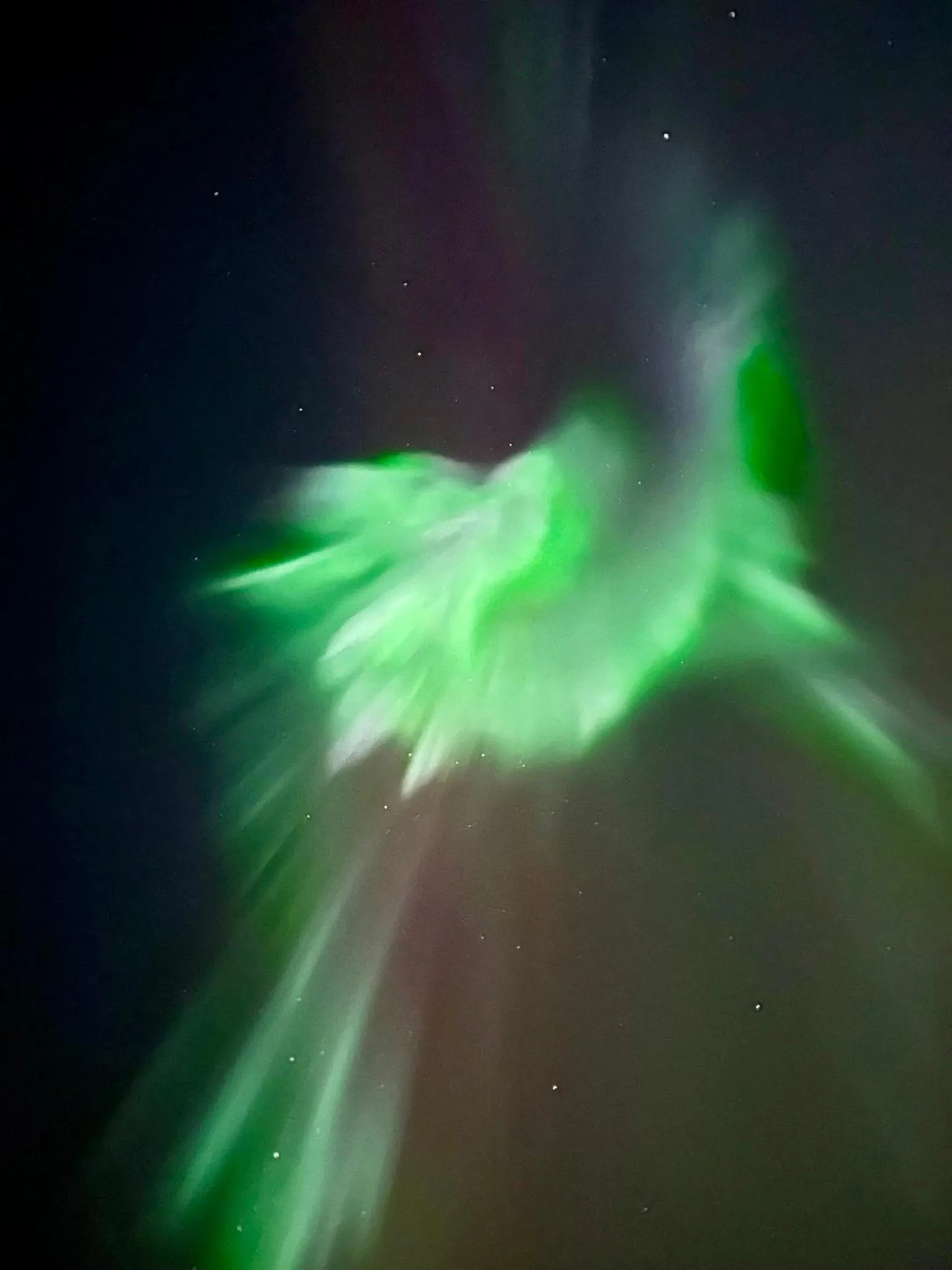 Arctic Shaman Adventures -Jurtta