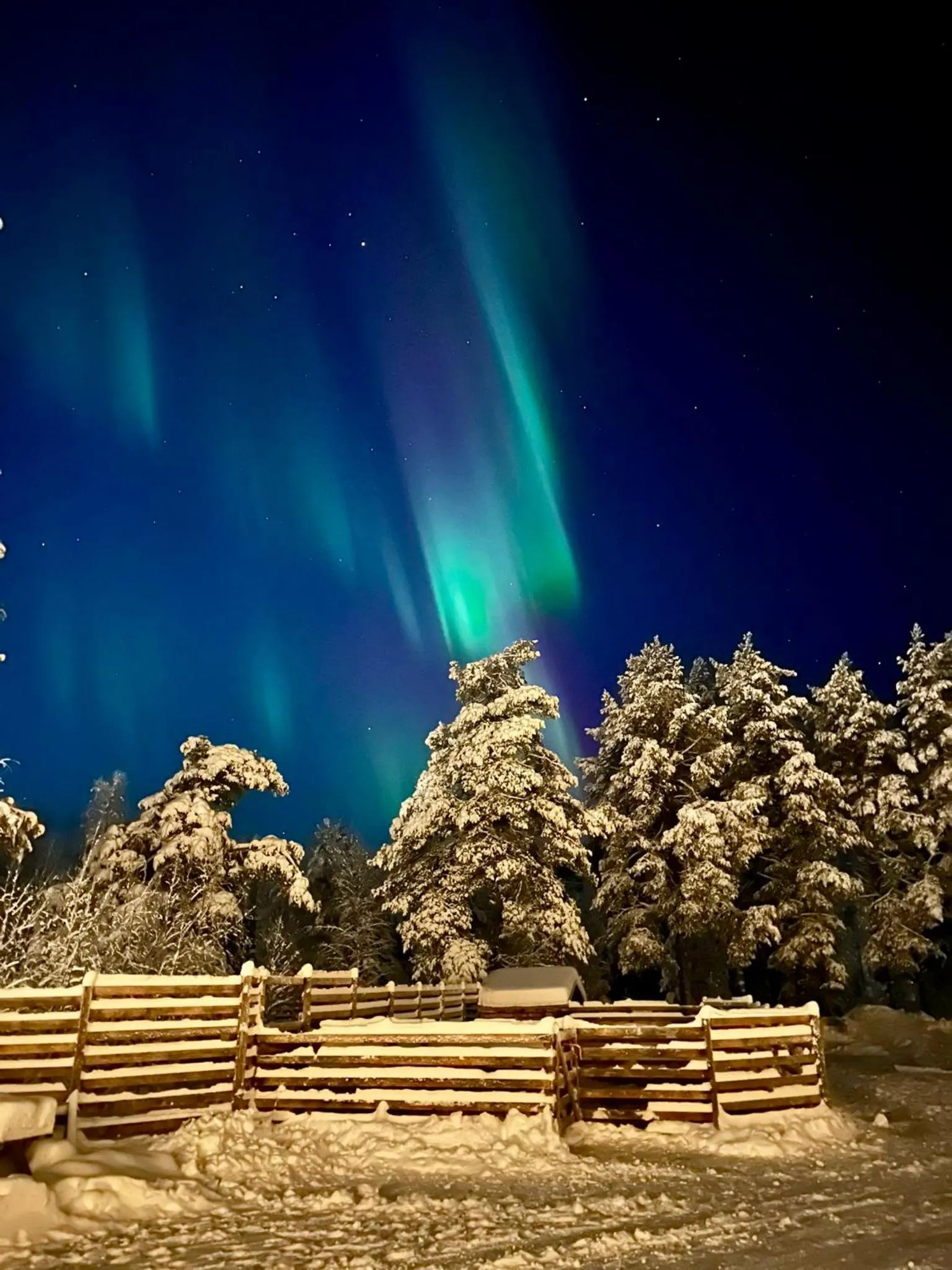 Arctic Shaman Adventures -Jurtta