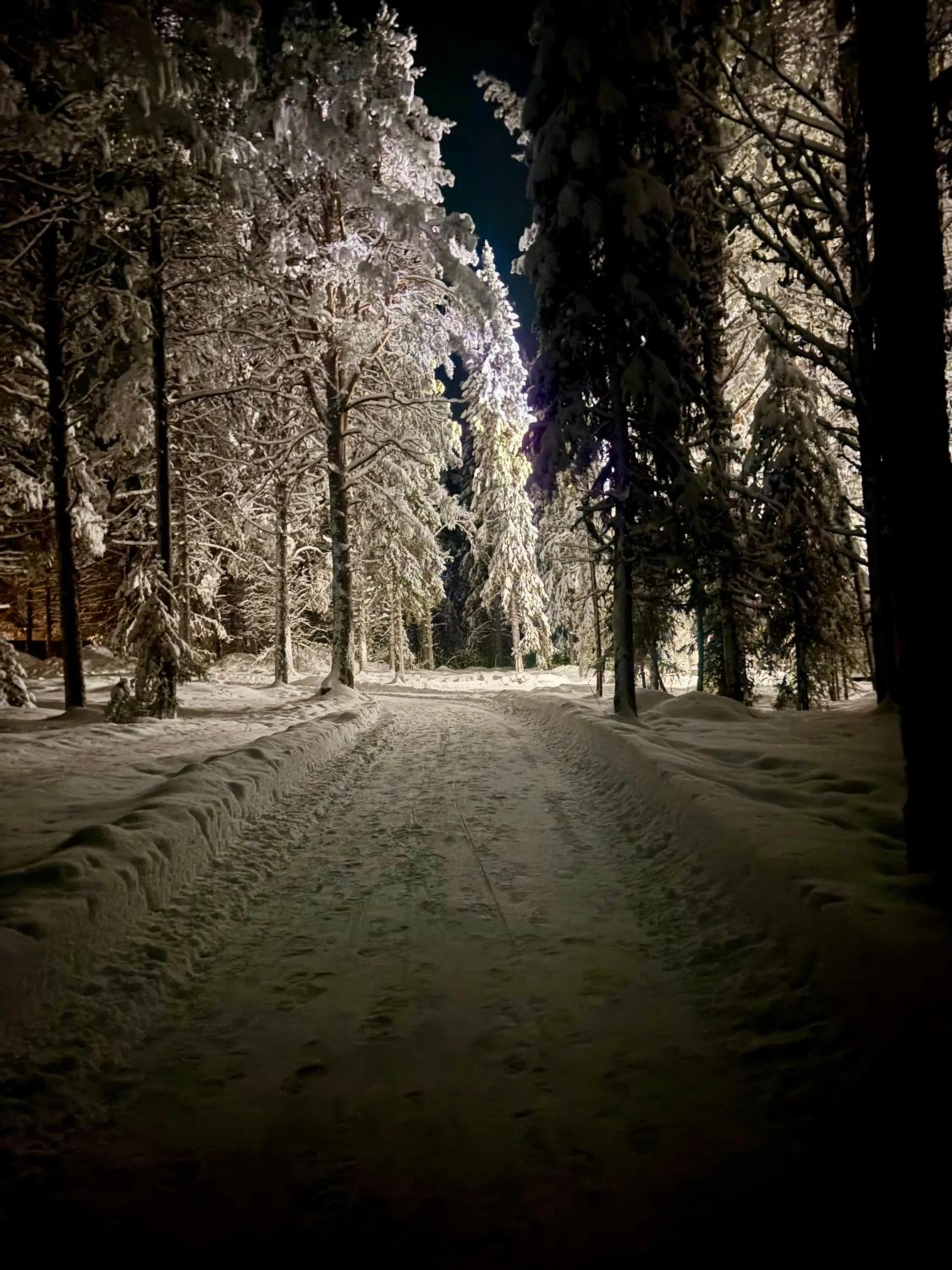 Arctic Shaman Adventures -Jurtta