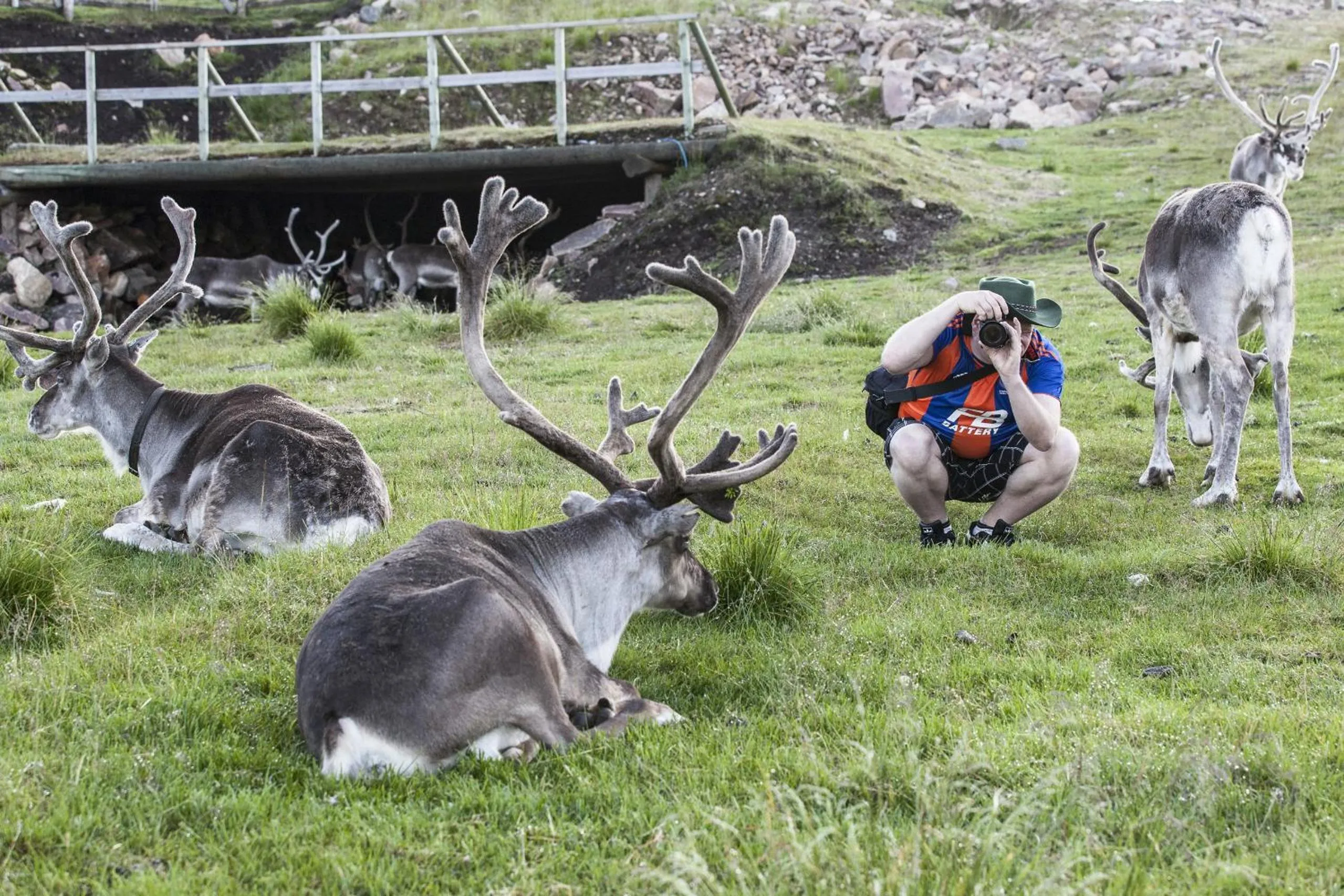 Activities in Arctic Shaman Adventures -Jurtta