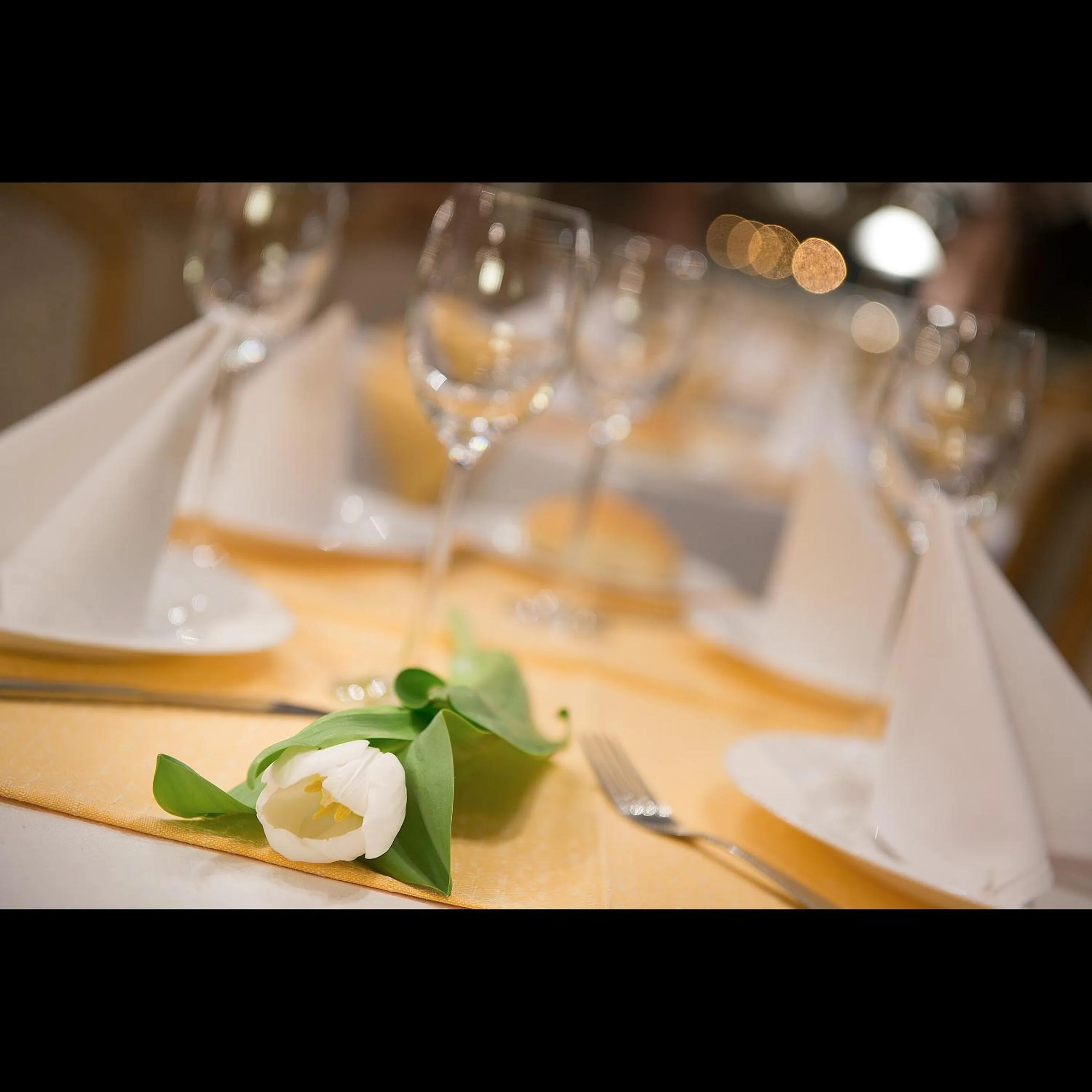 Restaurant/places to eat in Hotel Kladno