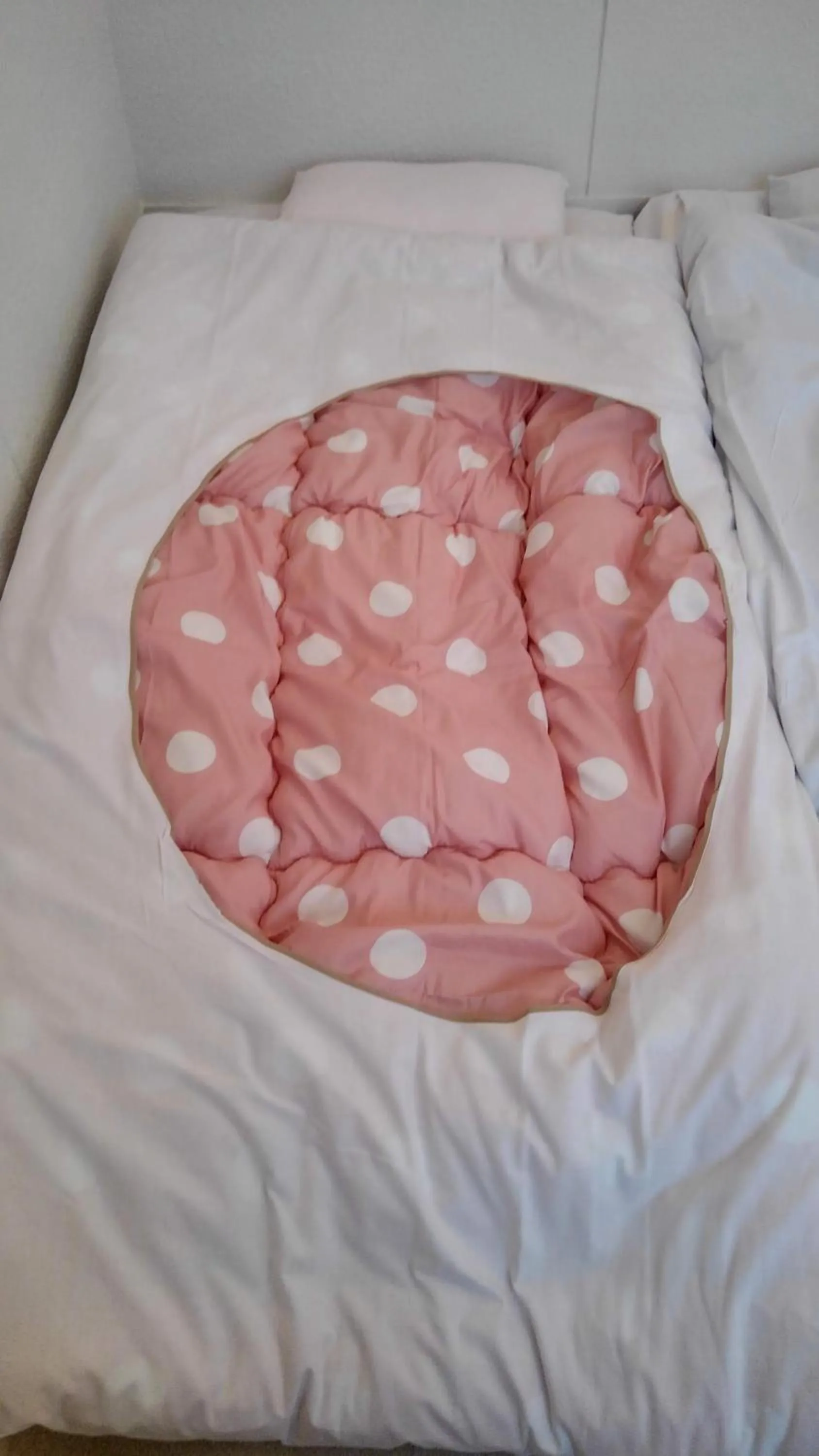 Photo of the whole room in 女性用 Art Setouchi Triennale Hotel Female Only