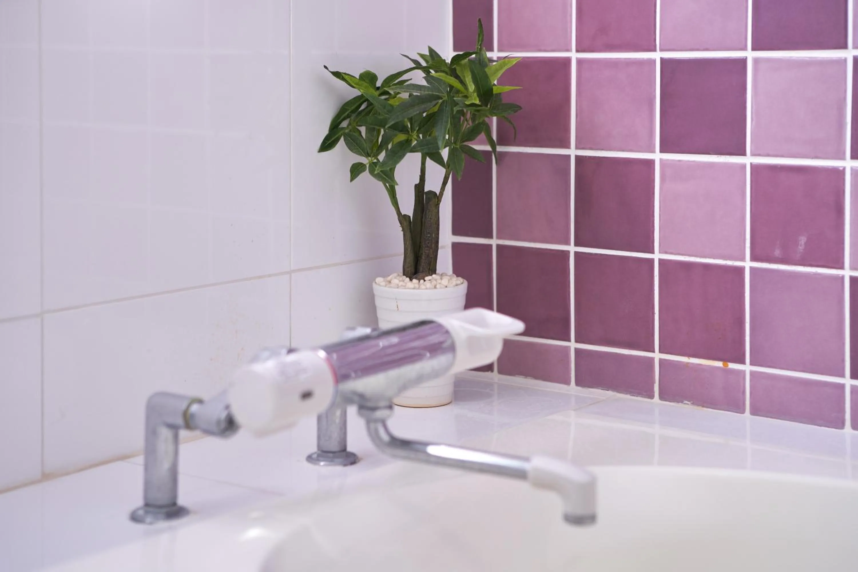 Bathroom in Wind Makiminato