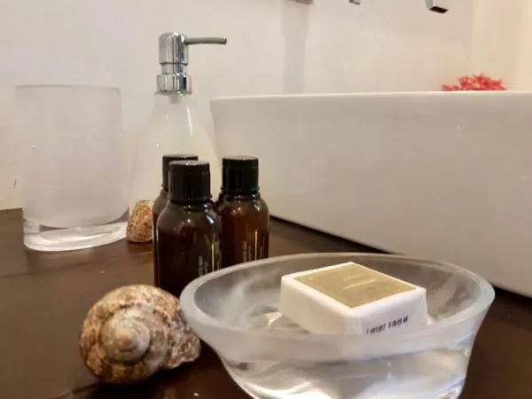 Bathroom in Mangueira Boutique Hotel Moreré