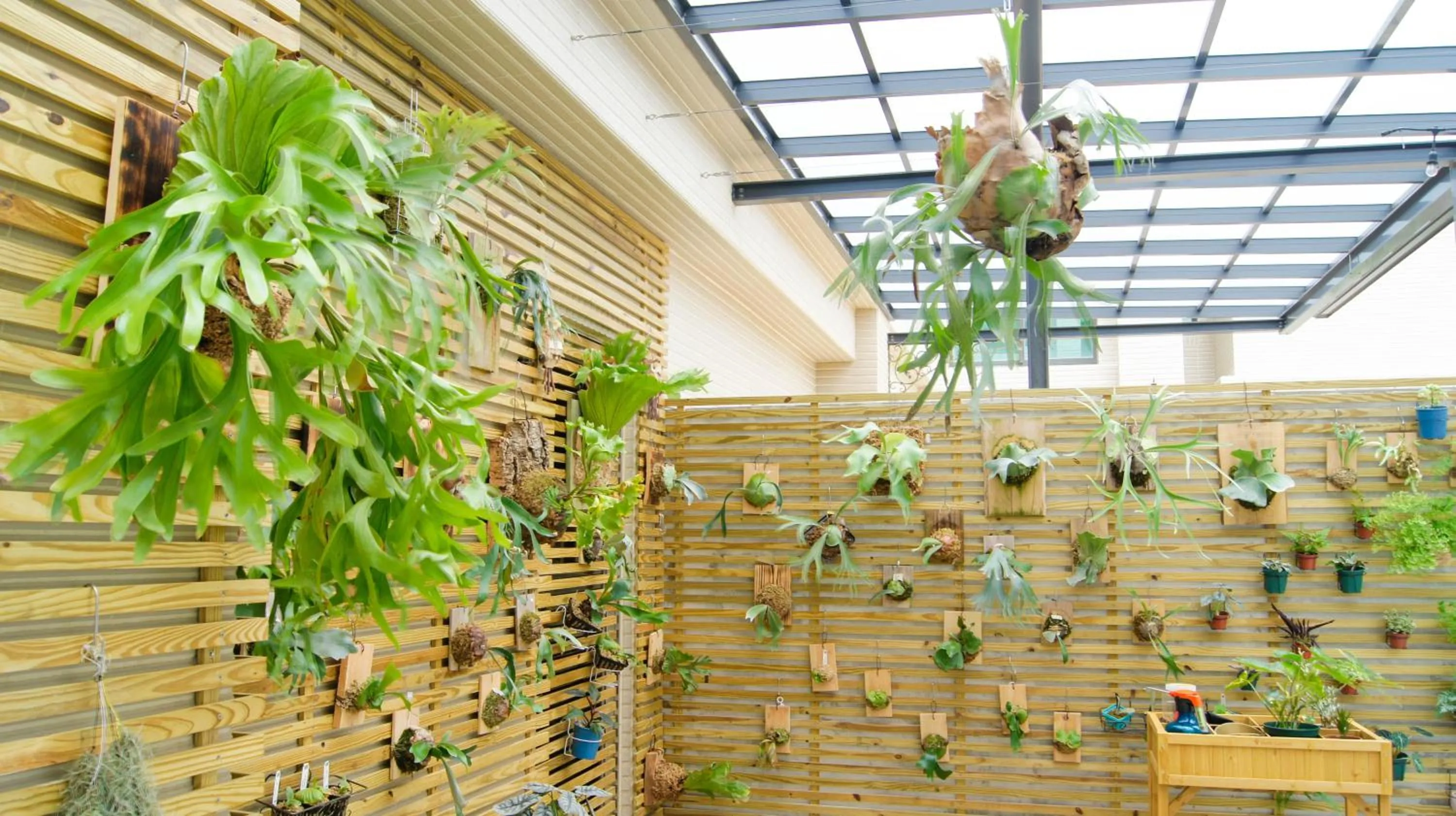 Garden in Kuei Ti Wan Hotel