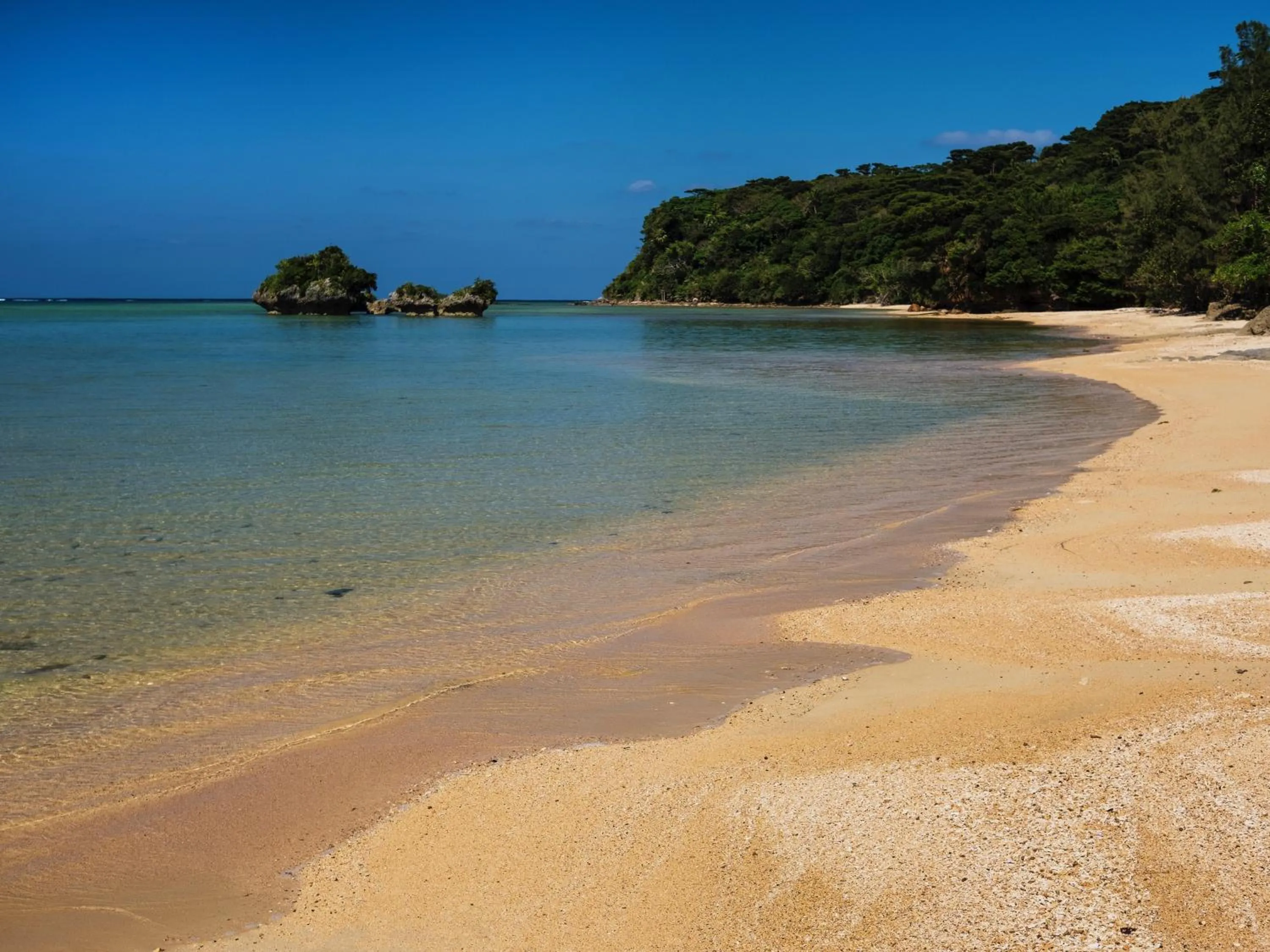 Beach in Hotel Hoshitate Iriomotejima