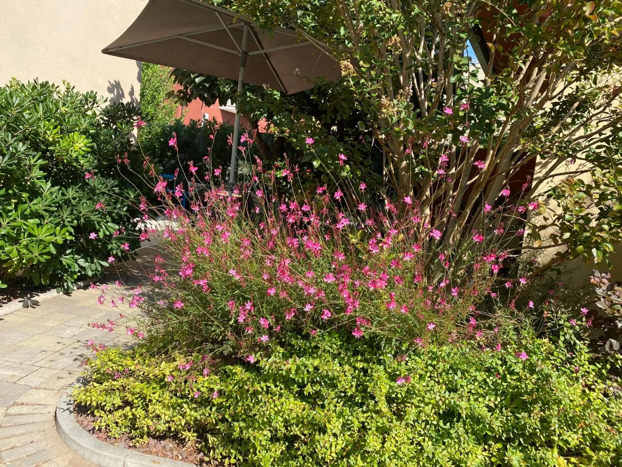 VeronaLago B&B Accessibile