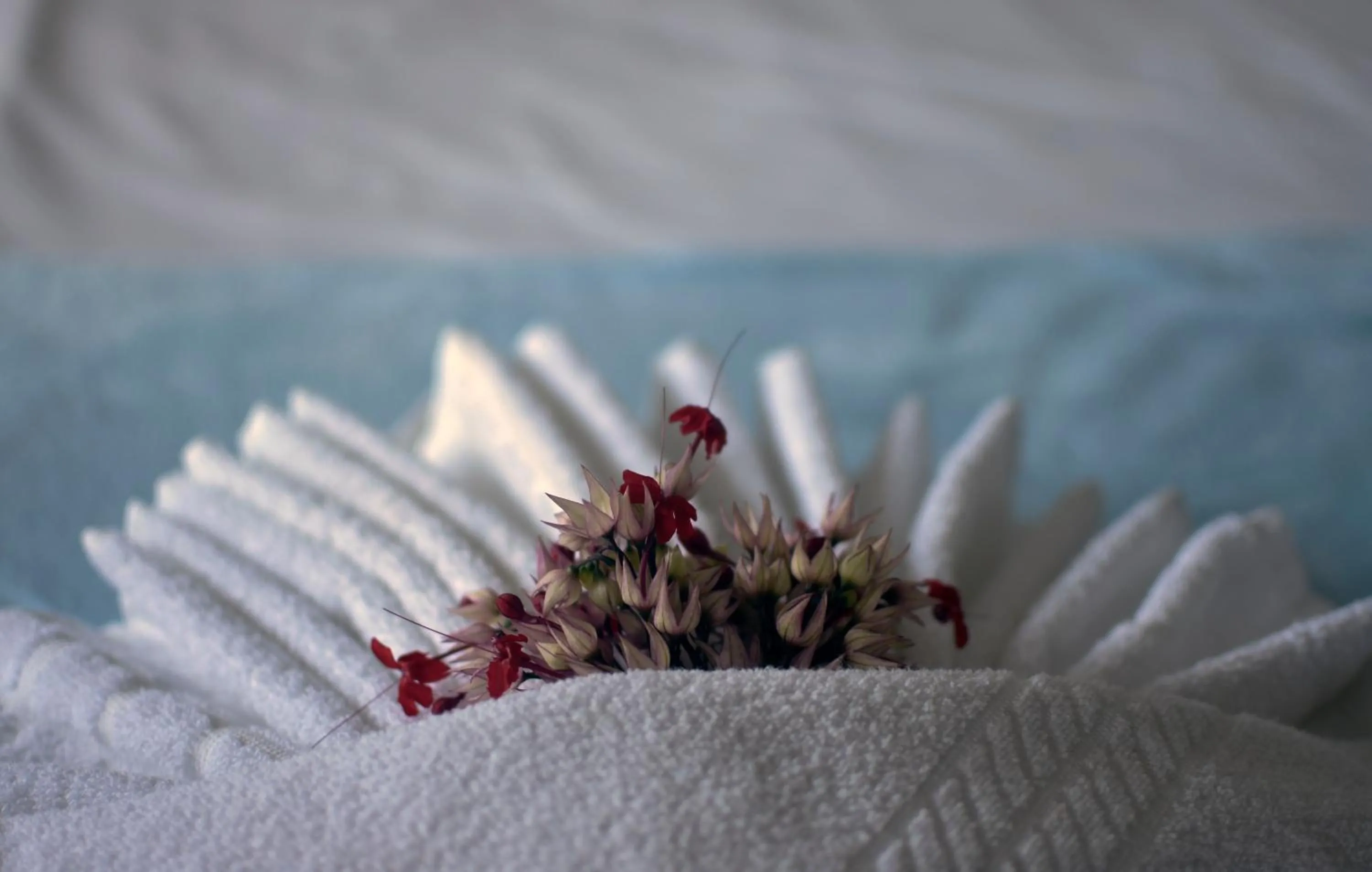 Bed in DORM Olhar da Sereia