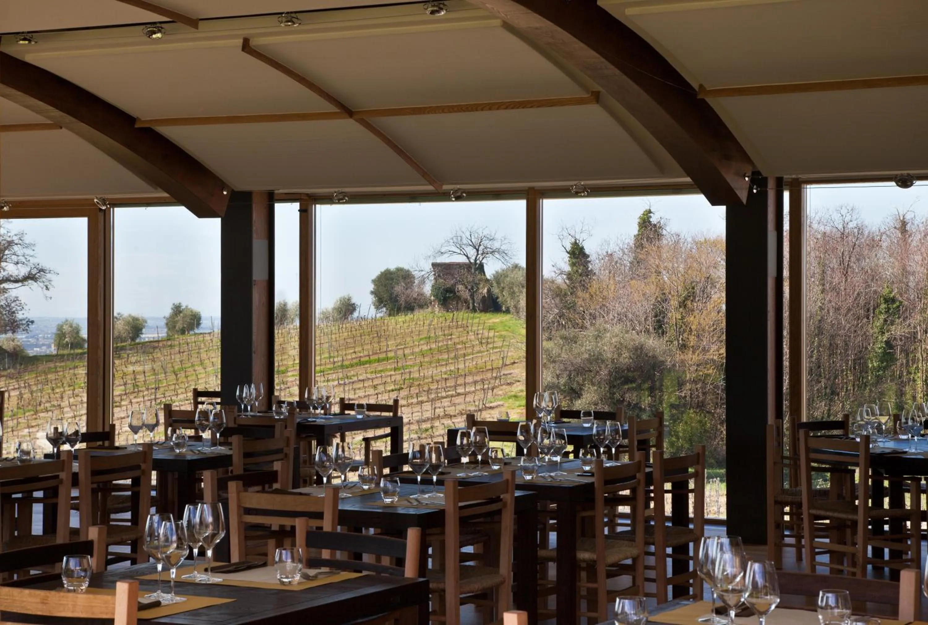 Restaurant/places to eat in Cincinnato Wine Resort