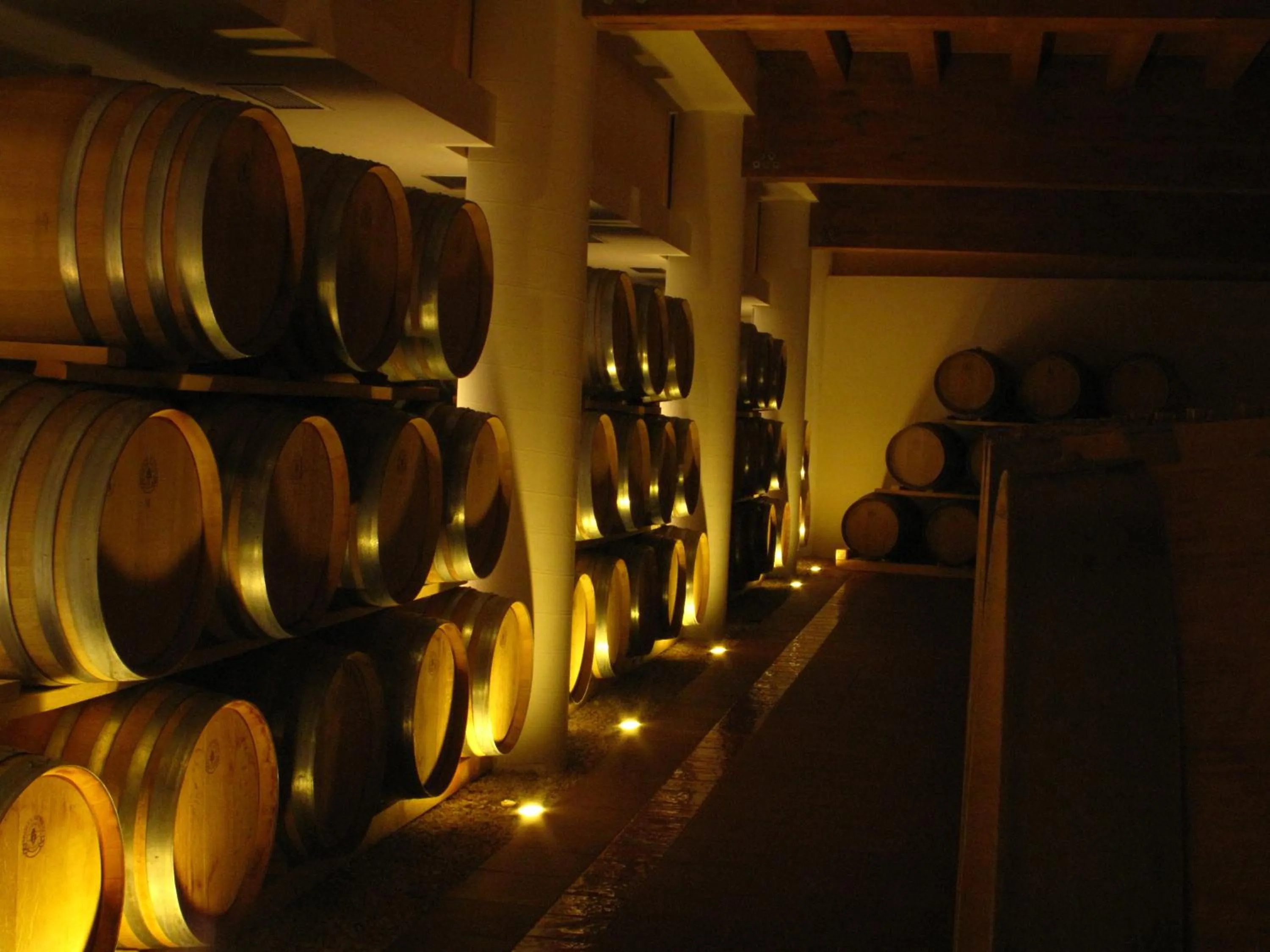 Activities in Cincinnato Wine Resort