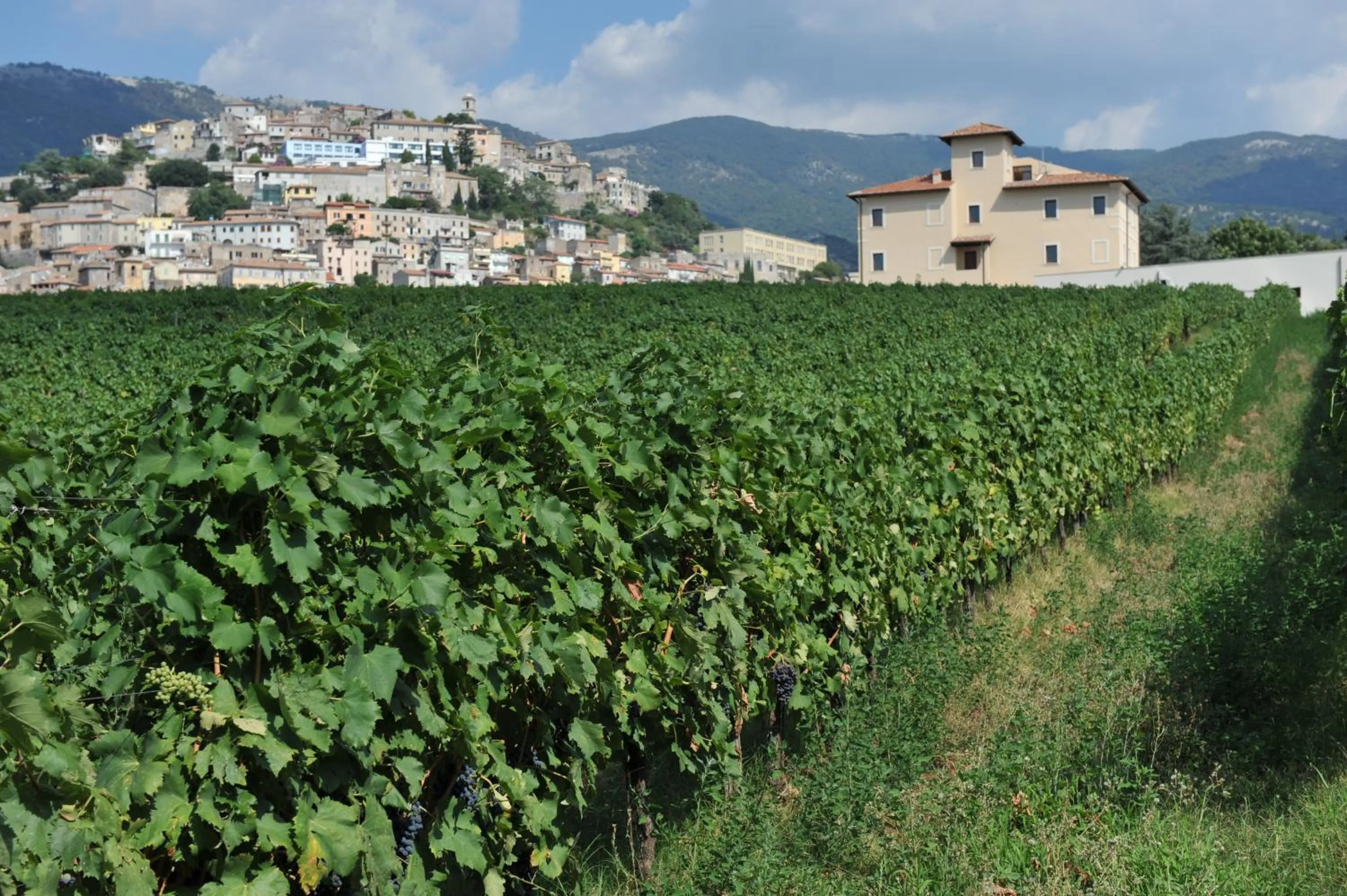 Property building in Cincinnato Wine Resort