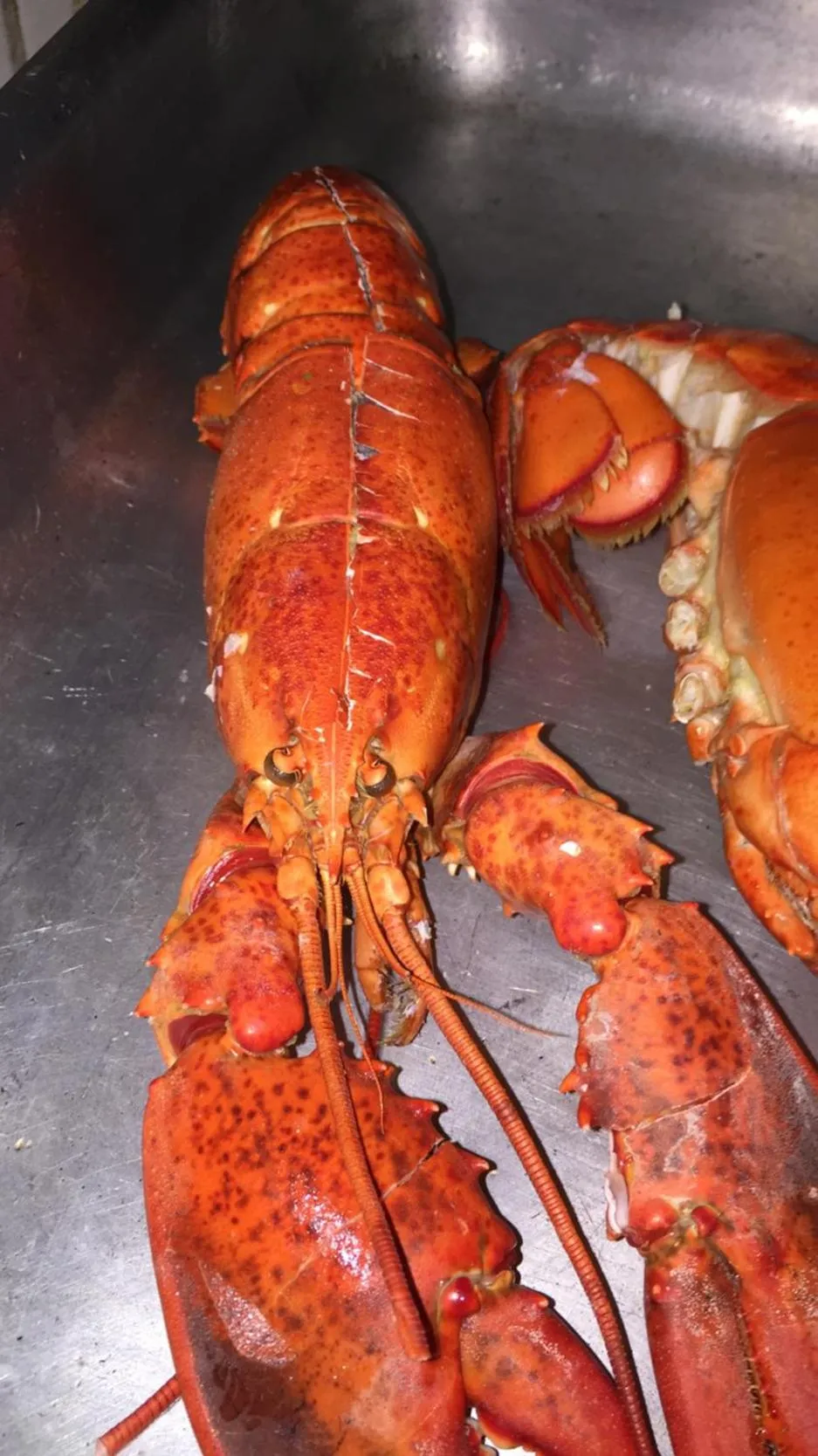 Dea Della Salute Hotel