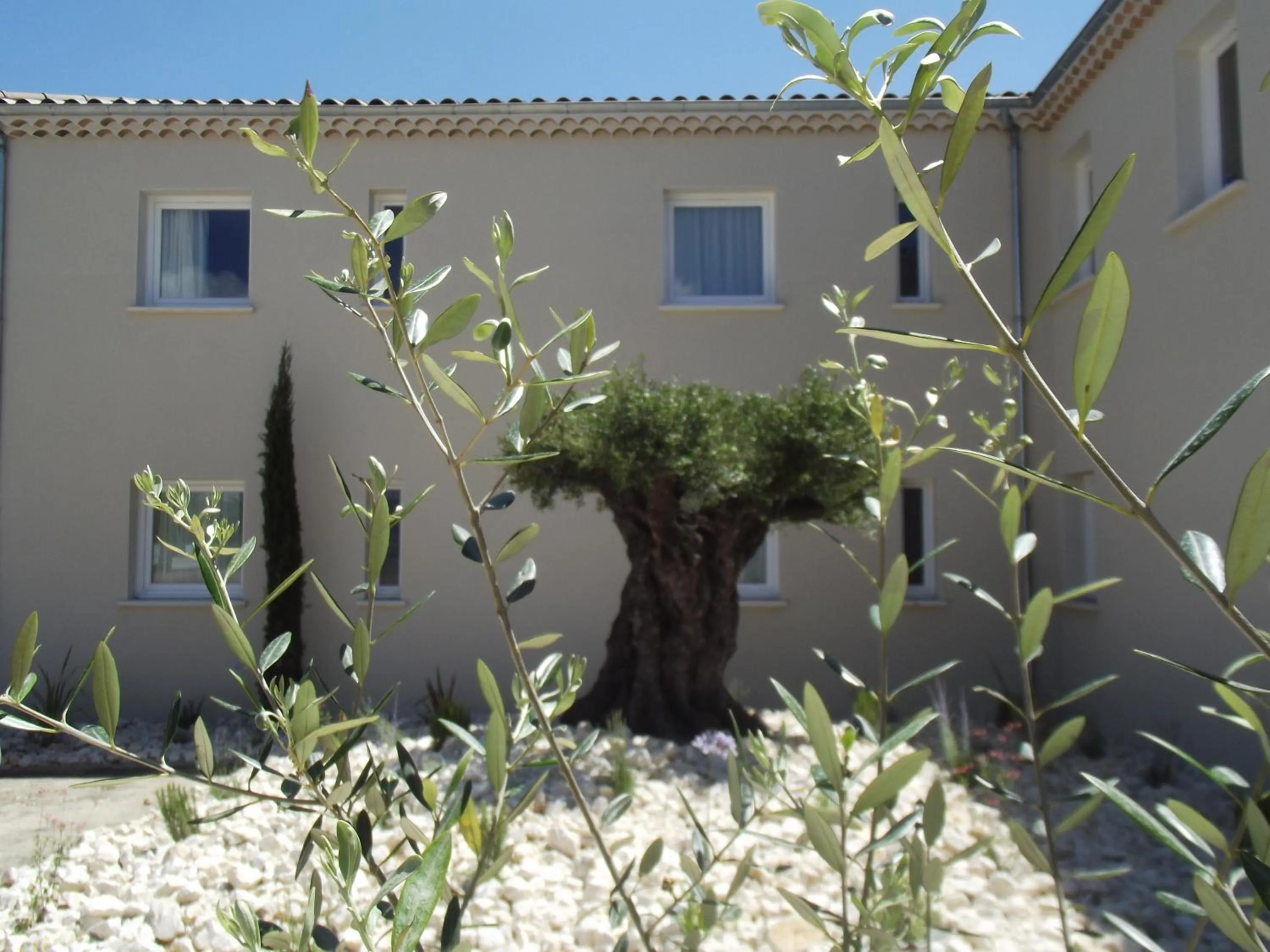 Property building in Le Domaine des Oliviers