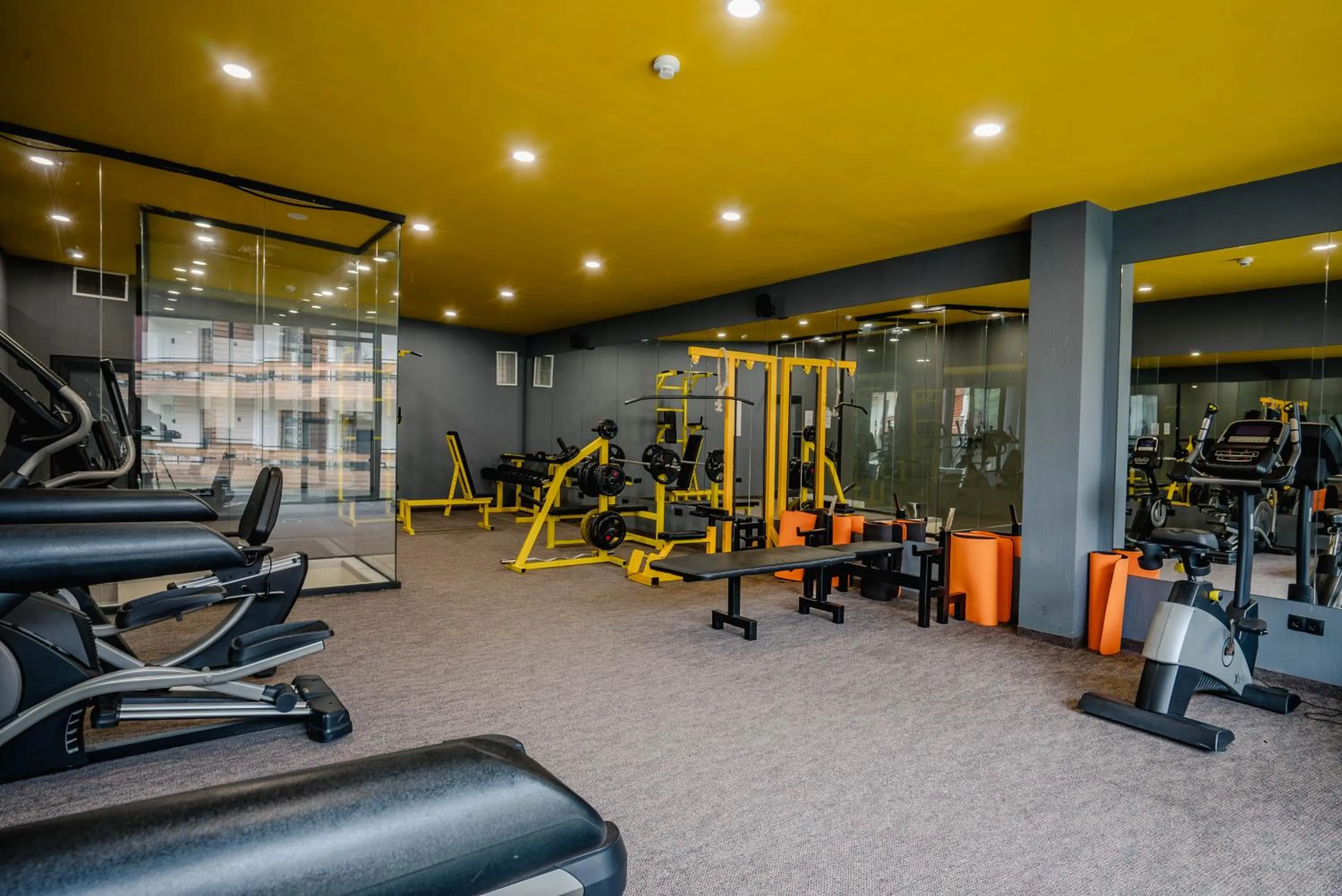 Fitness centre/facilities in Bakuriani Inn
