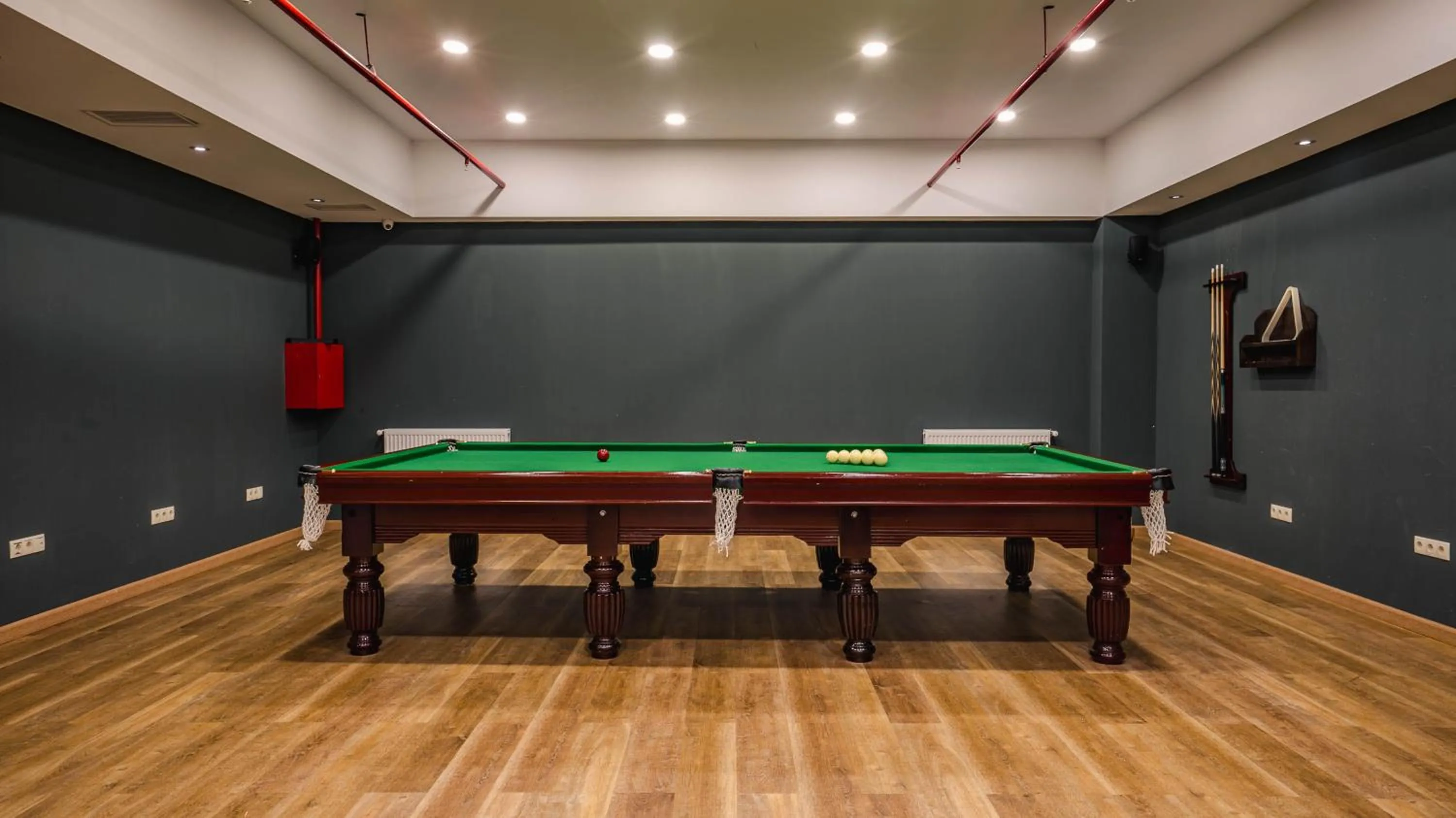 Billiard in Bakuriani Inn