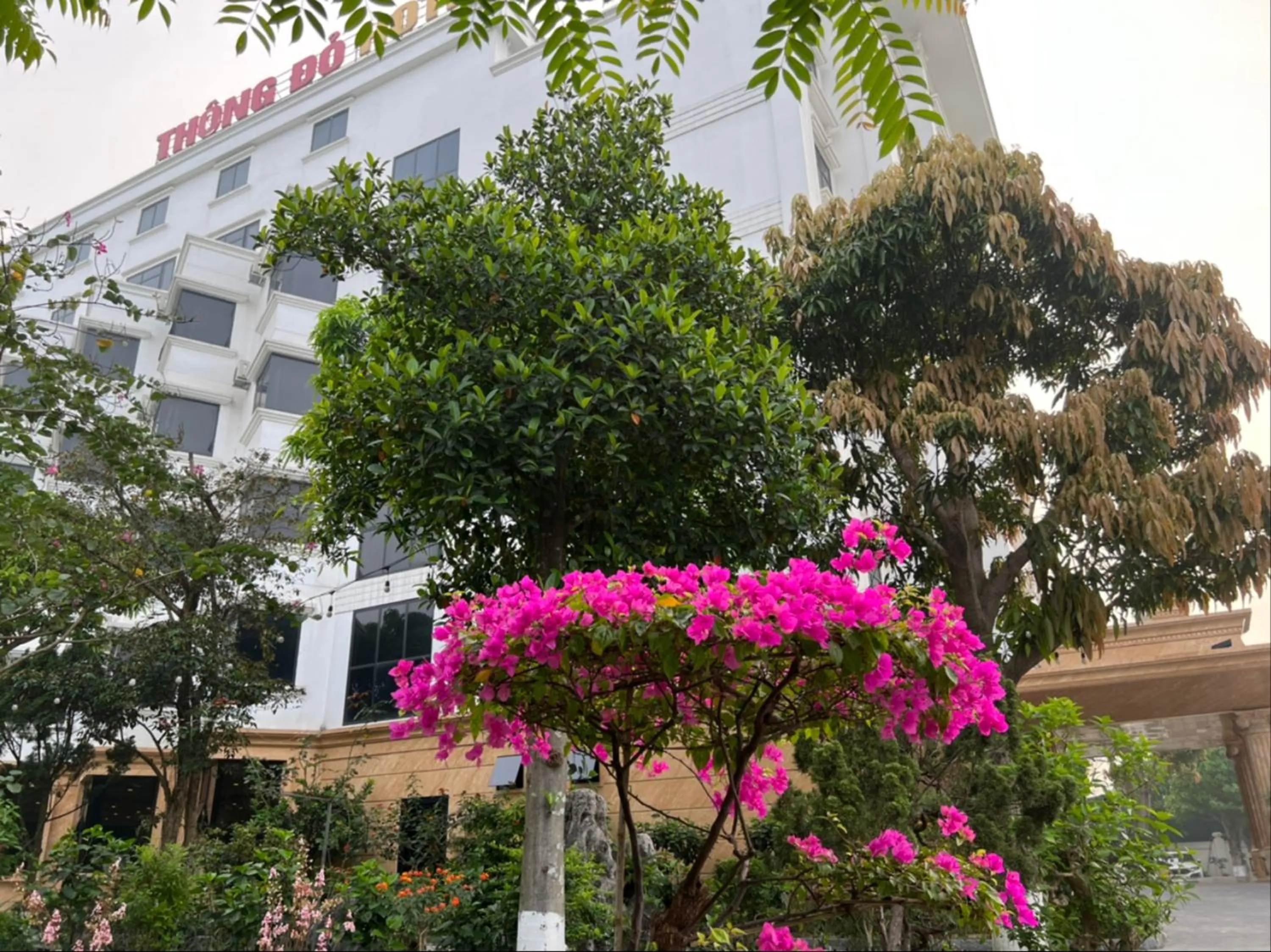Property building in Thông Đỏ Hotel