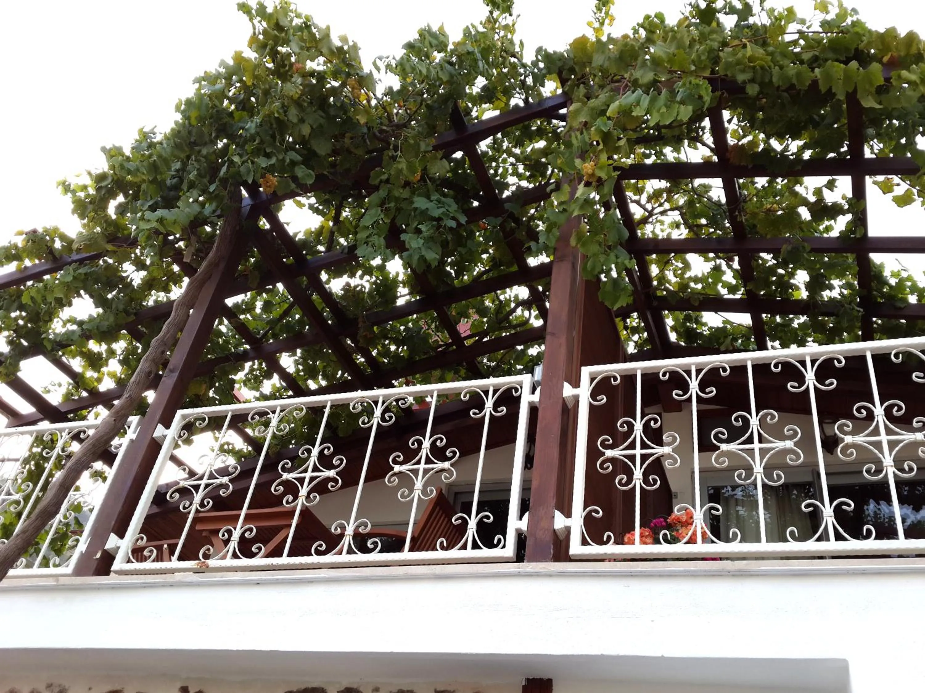 Balcony/Terrace in Lemon Villa Hotel