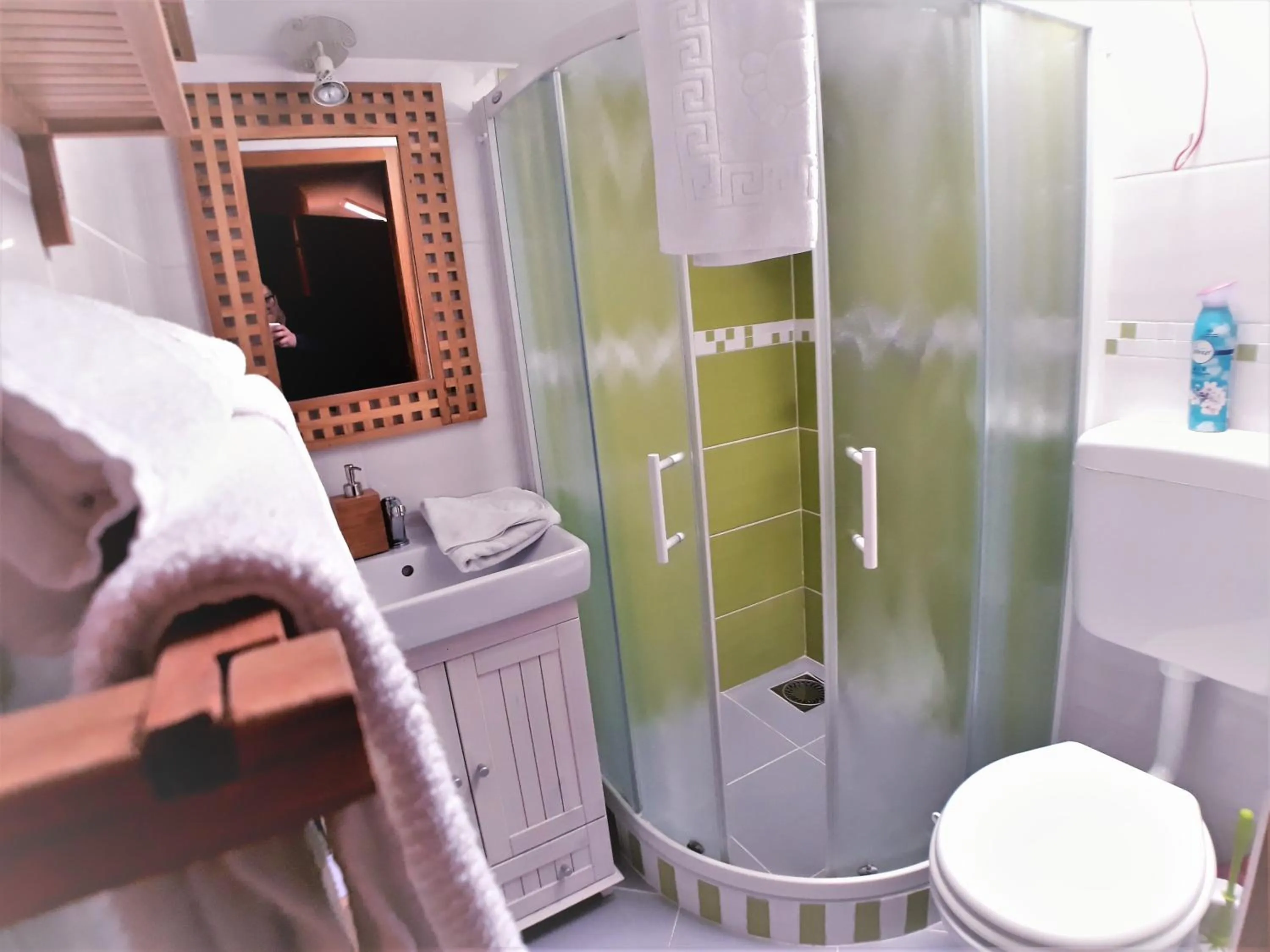 Shower in Landhaus Noreia