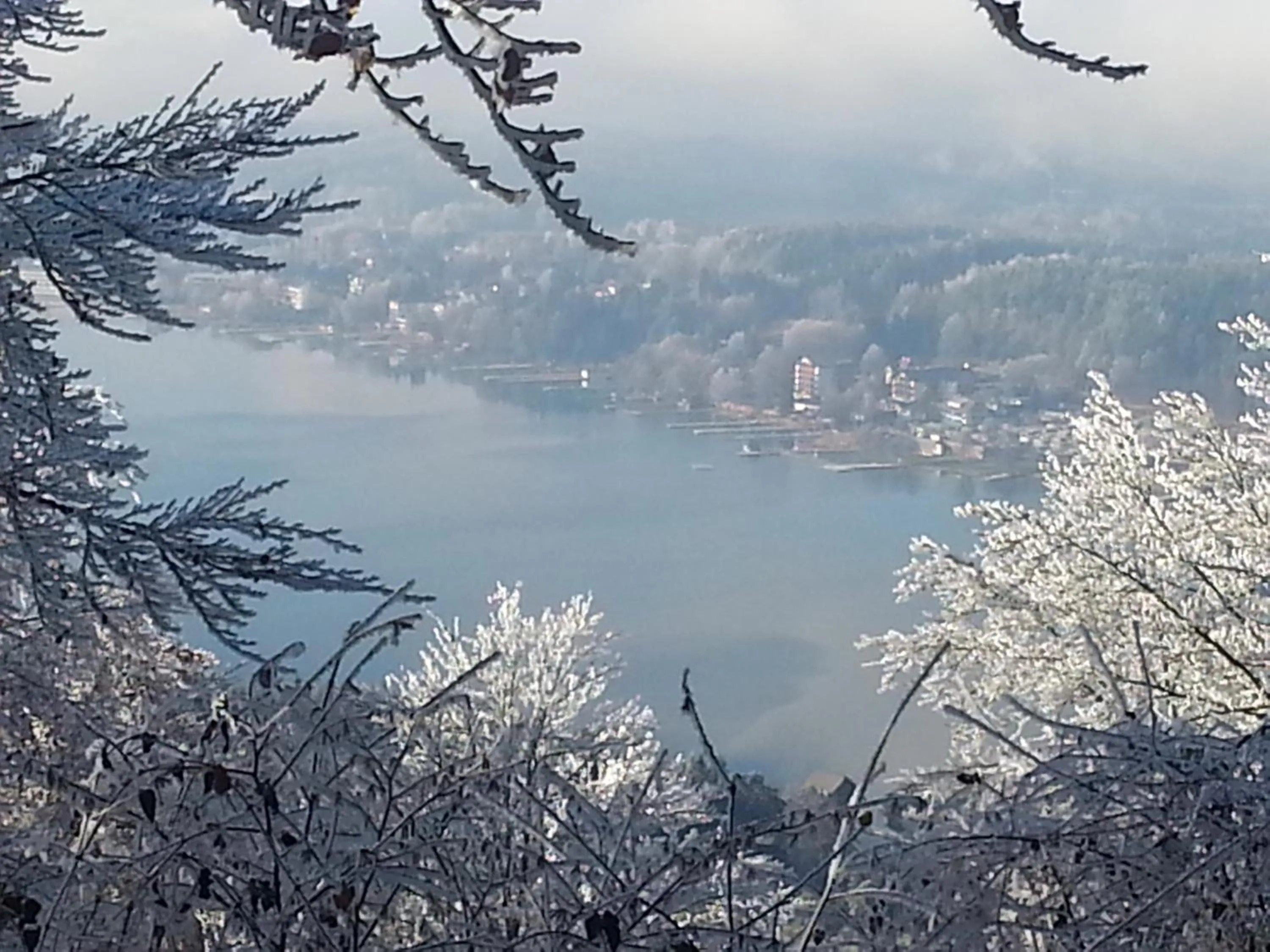 Natural landscape in Landhaus Noreia