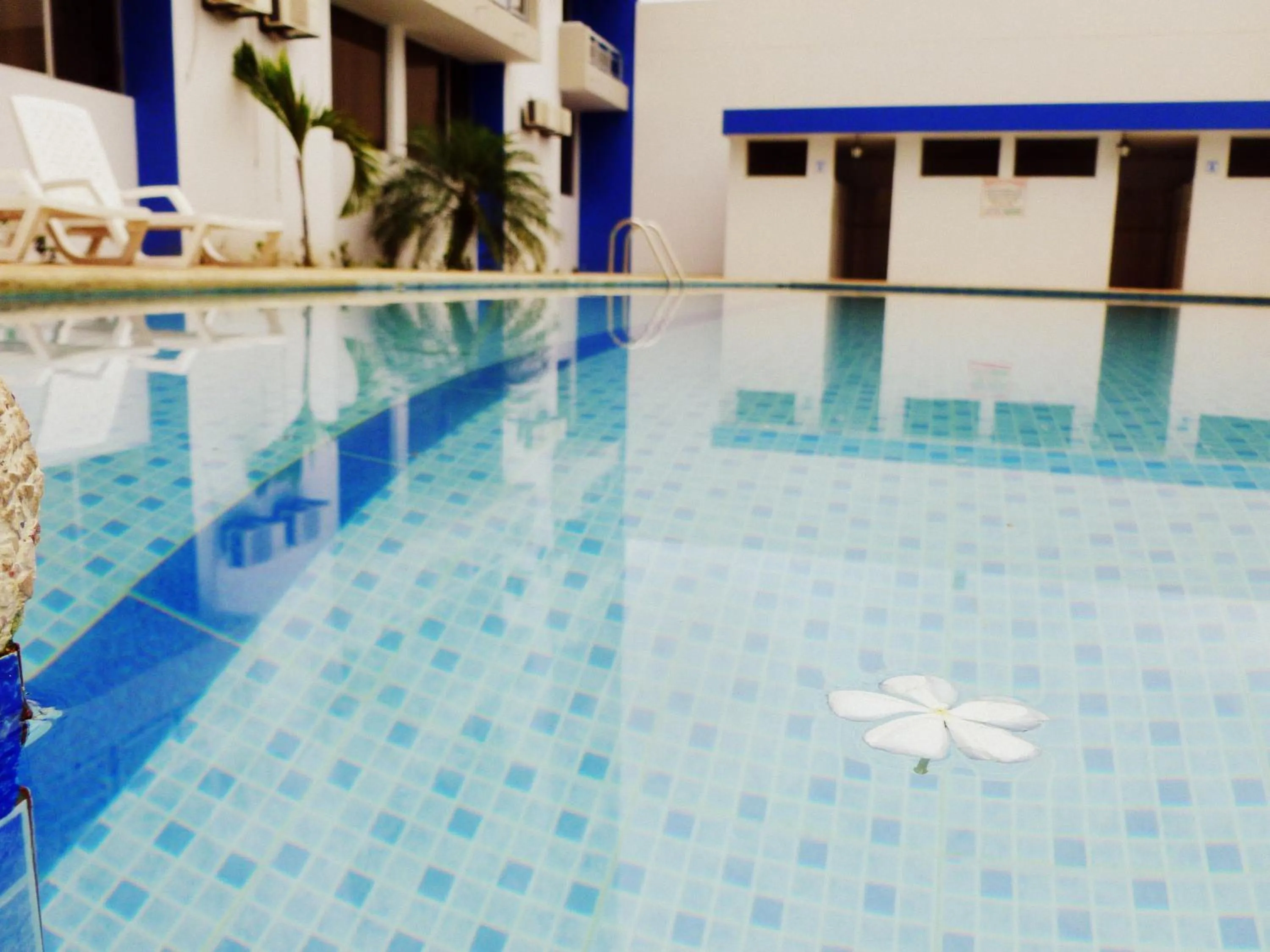 Swimming pool in Costa Paraiso