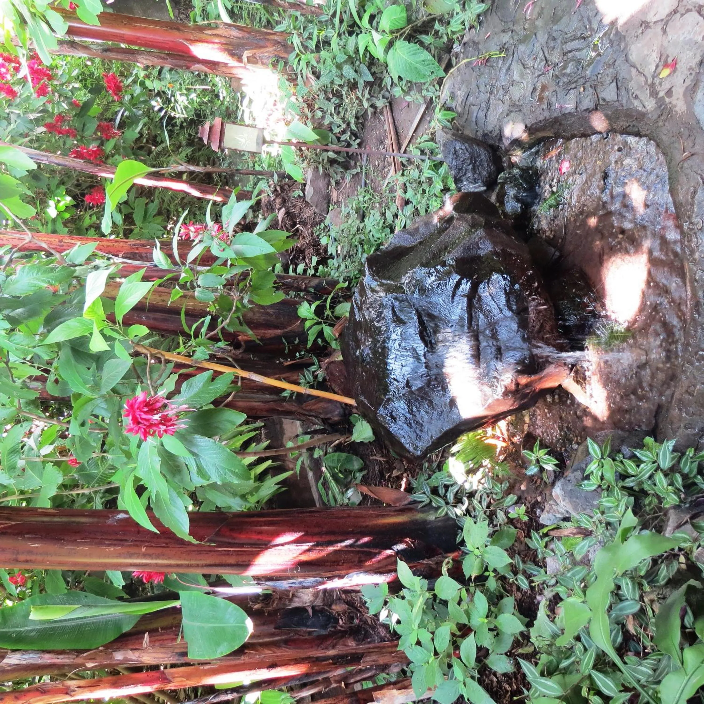 Decorative detail in Hotel Agua Blanca