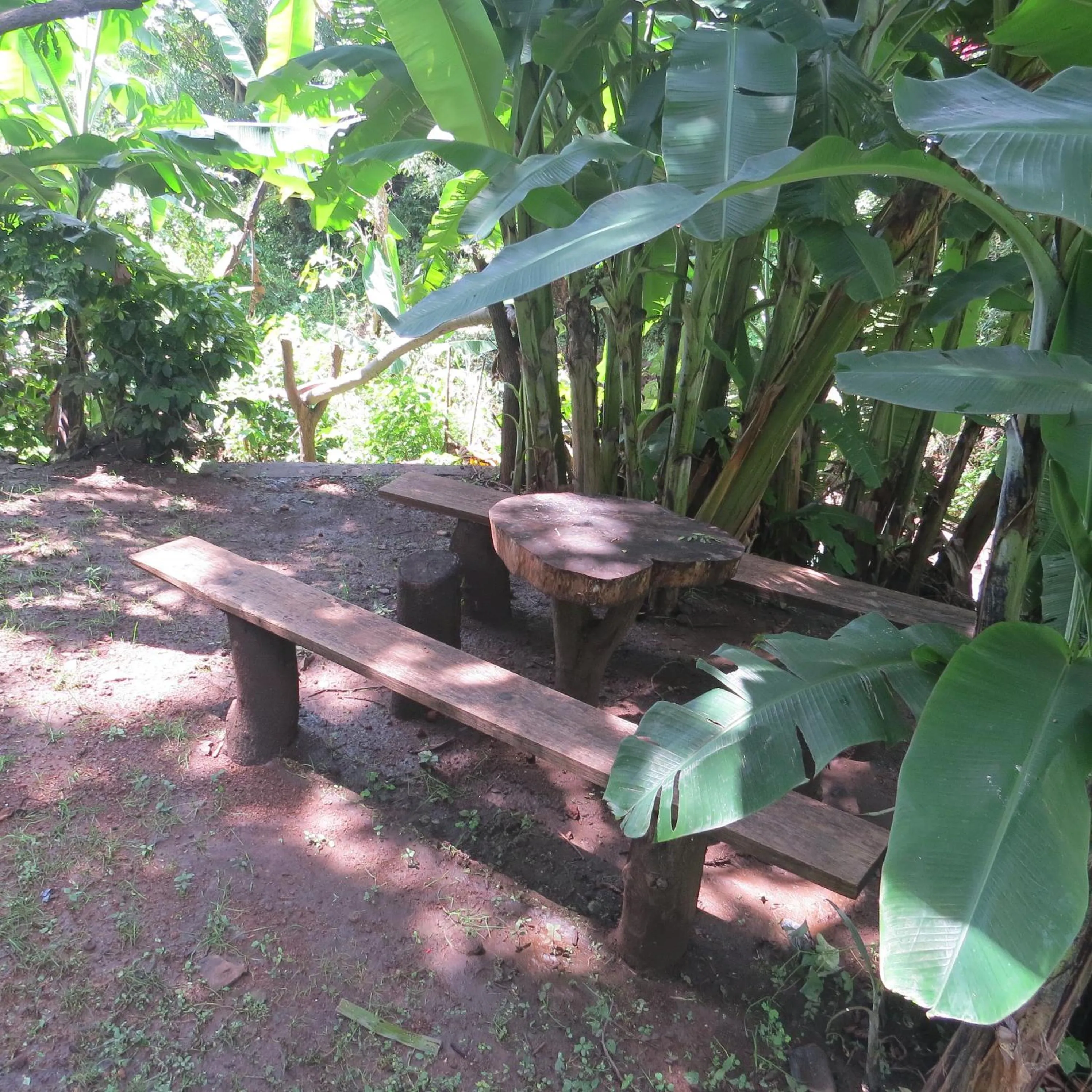 BBQ facilities in Hotel Agua Blanca