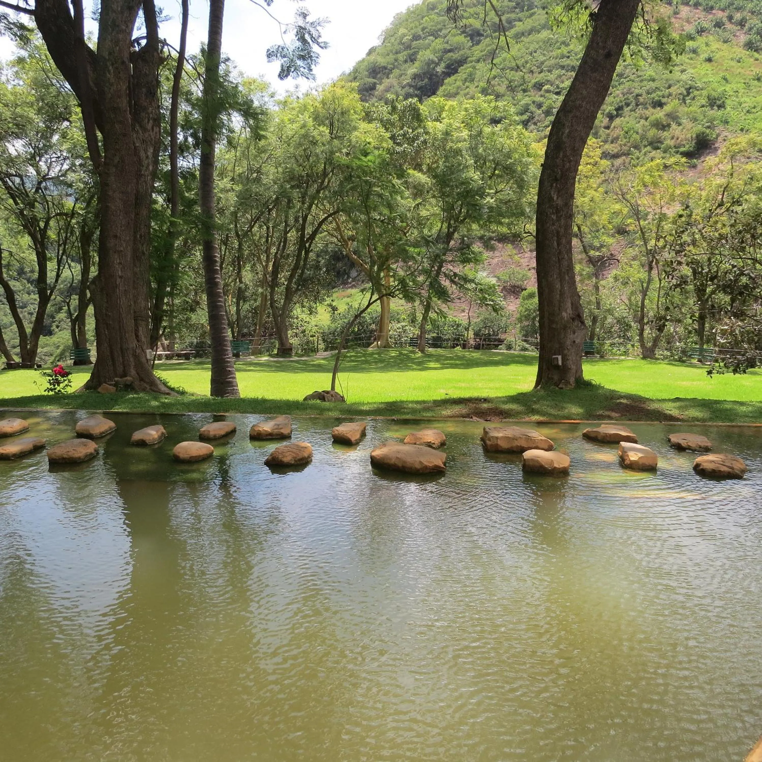 Garden in Hotel Agua Blanca