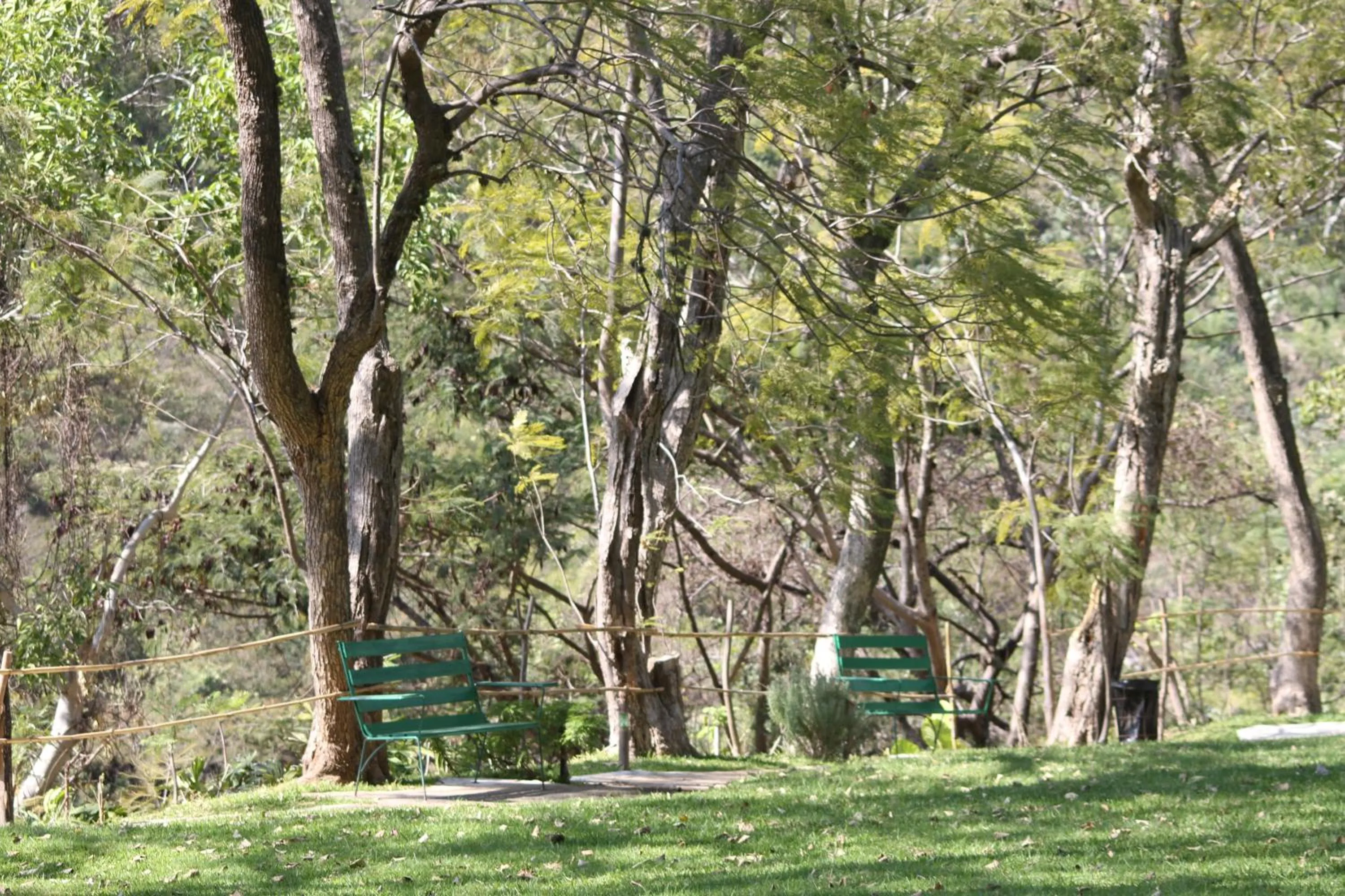 Garden in Hotel Agua Blanca