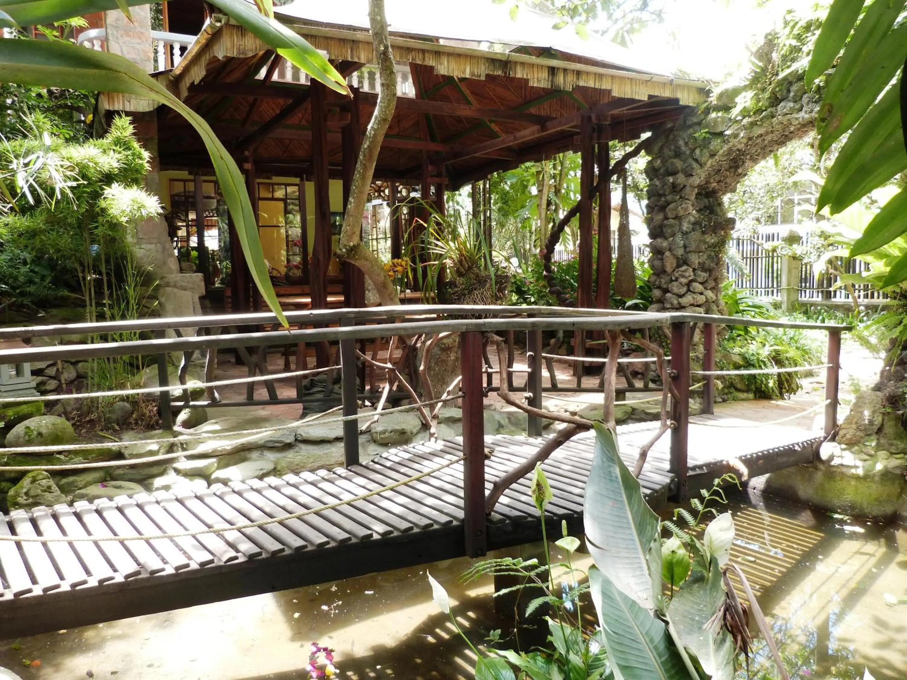 Garden in Hotel y Spa Isla de Baños