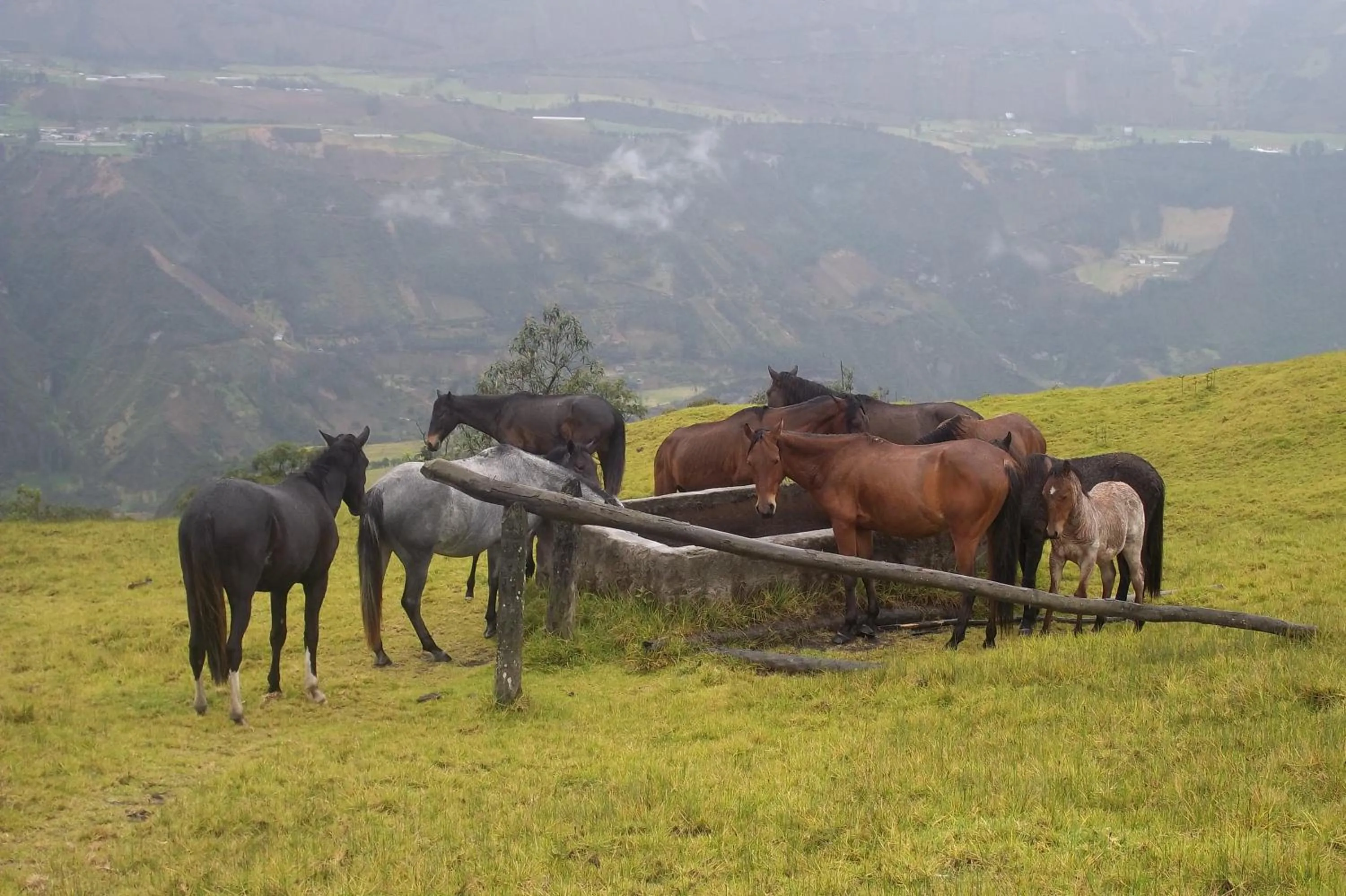 Horse-riding in Hotel y Spa Isla de Baños