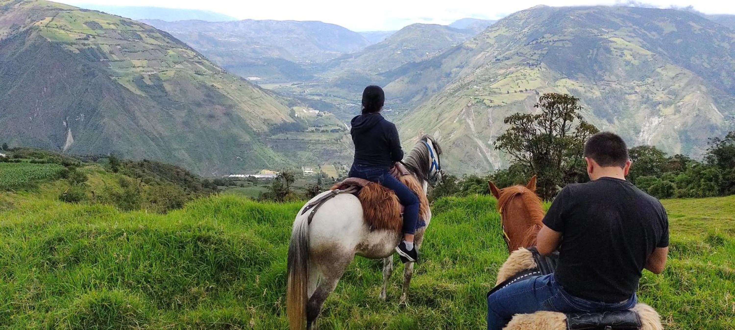 Horse-riding in Hotel y Spa Isla de Baños