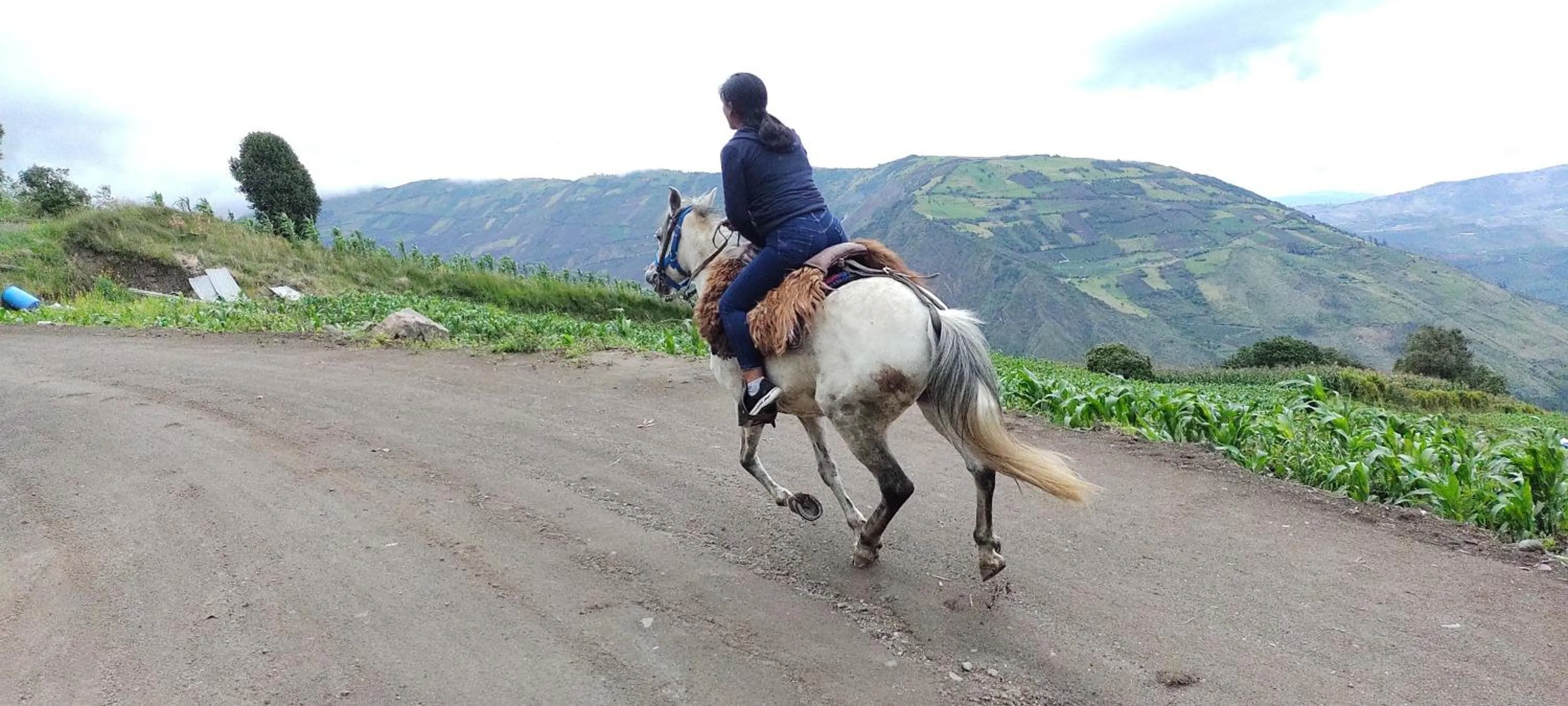 Horse-riding in Hotel y Spa Isla de Baños