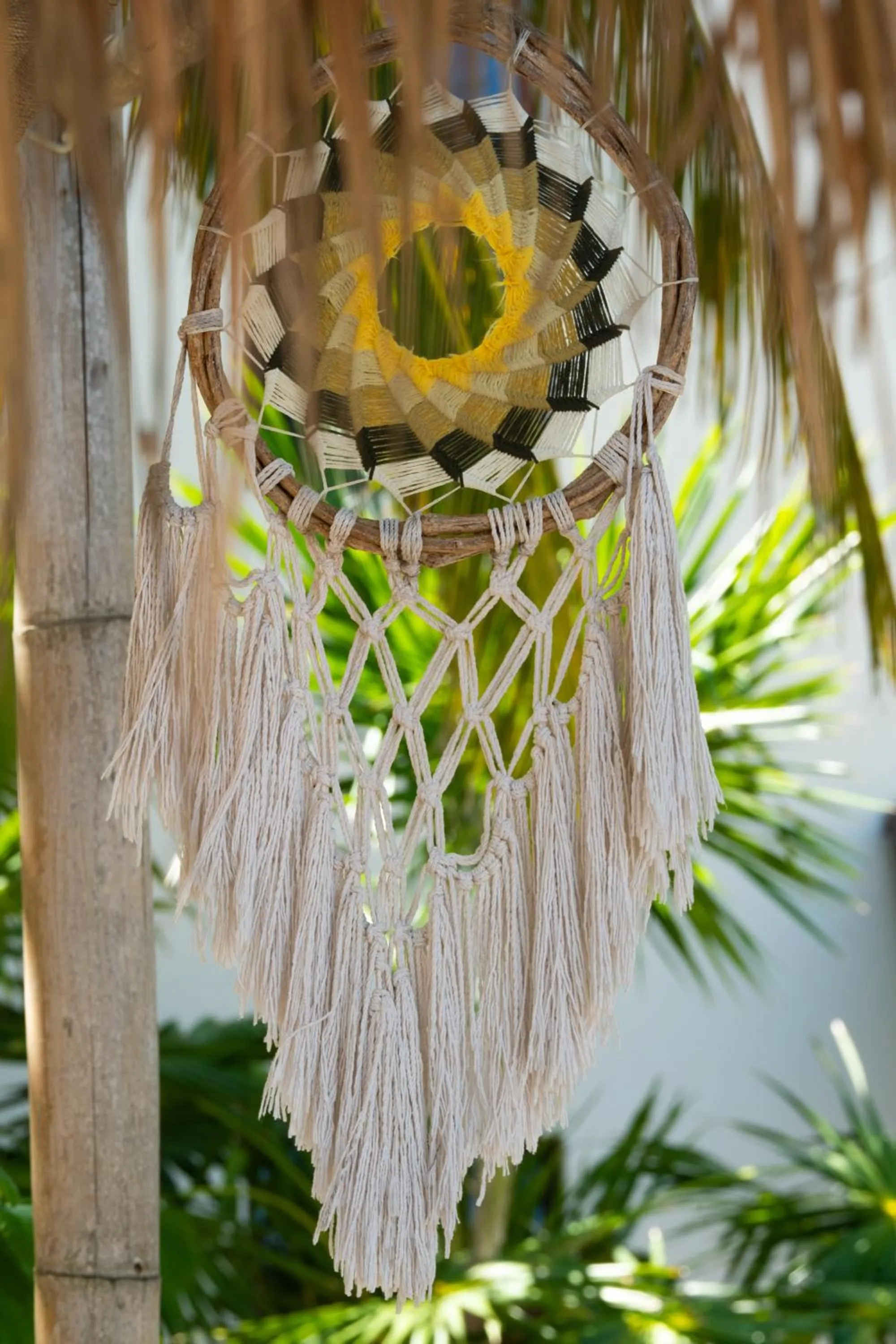 Natural landscape in Hotel Boutique La Puerta Azul Beachfront - Adults Only