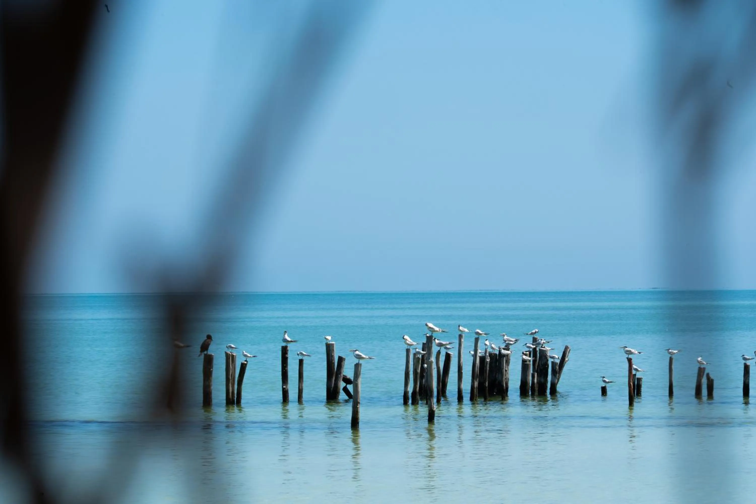 Beach in Hotel Boutique La Puerta Azul Beachfront - Adults Only