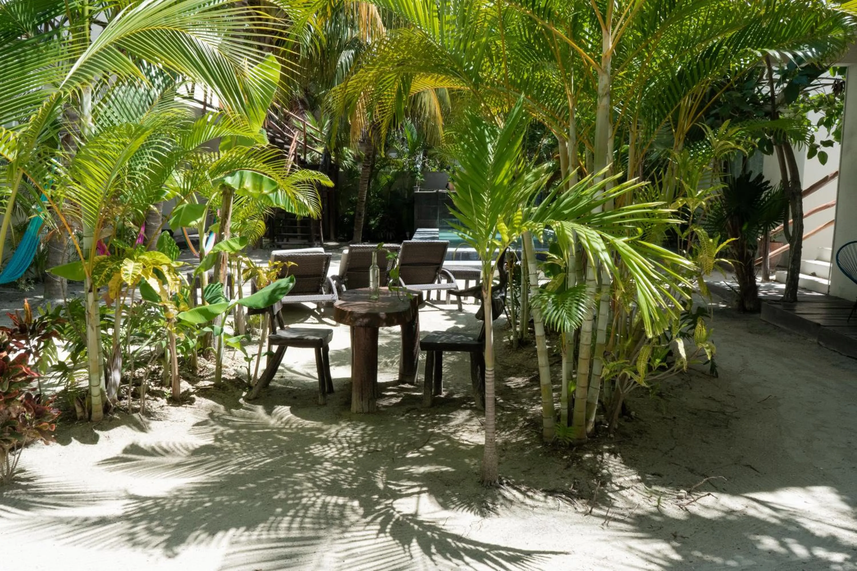 Garden in Hotel Boutique La Puerta Azul Beachfront - Adults Only