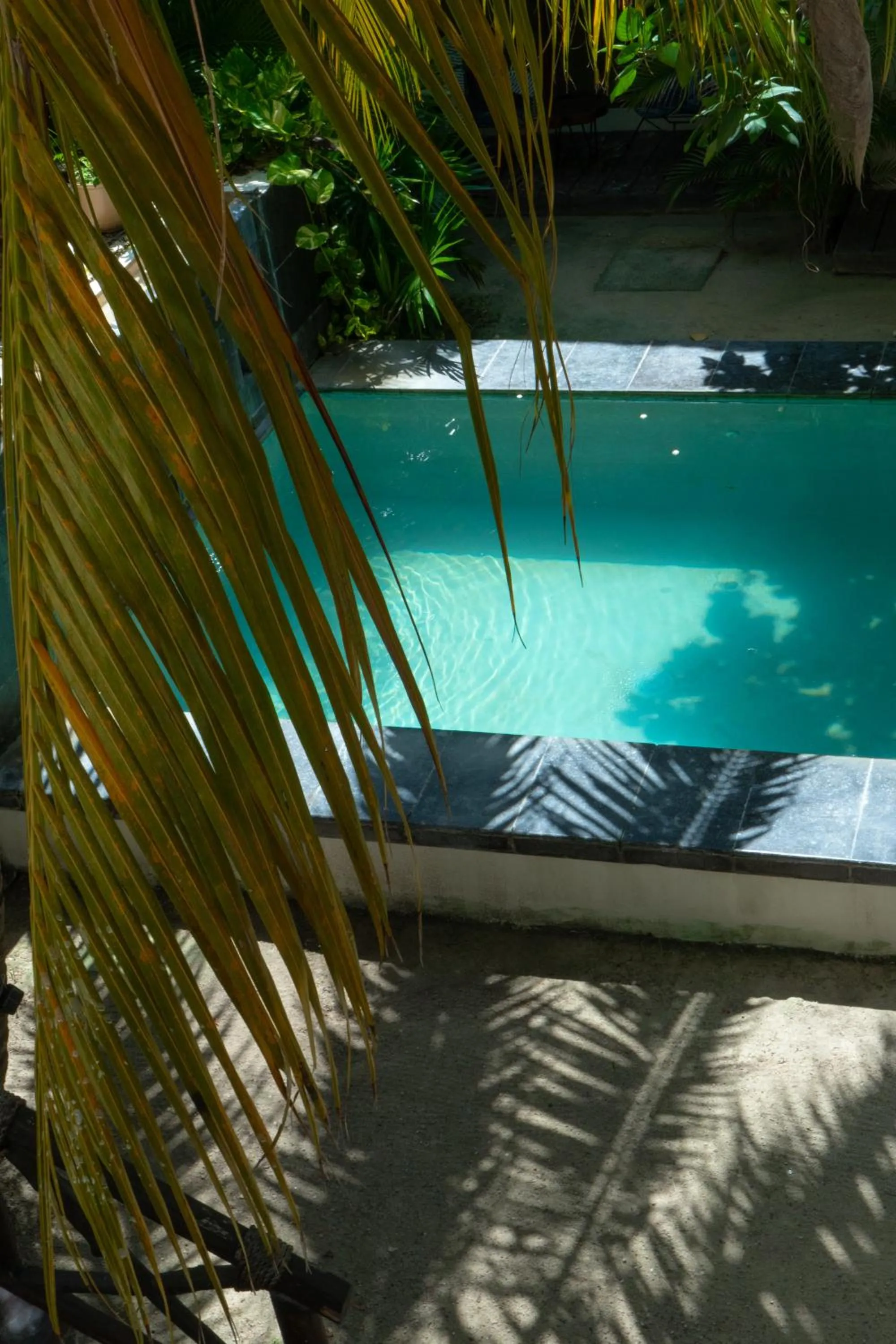 Swimming pool in Hotel Boutique La Puerta Azul Beachfront - Adults Only