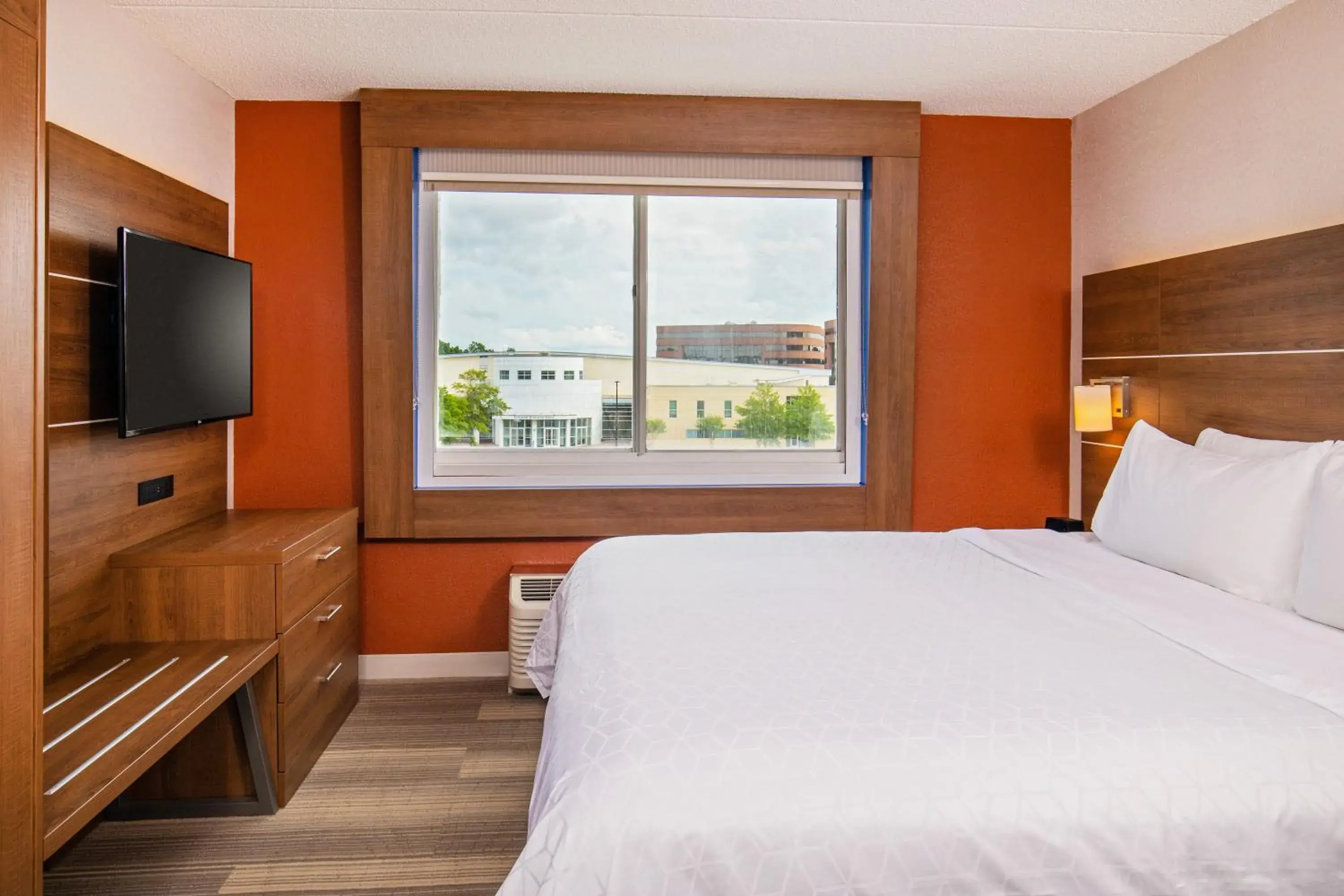 King Room - Mobility Access/Hearing Accessible in Holiday Inn Express Chesapeake - Norfolk by IHG King Room - Mobility Access/Hearing Accessible in Holiday Inn Express Chesapeake - Norfolk by IHG