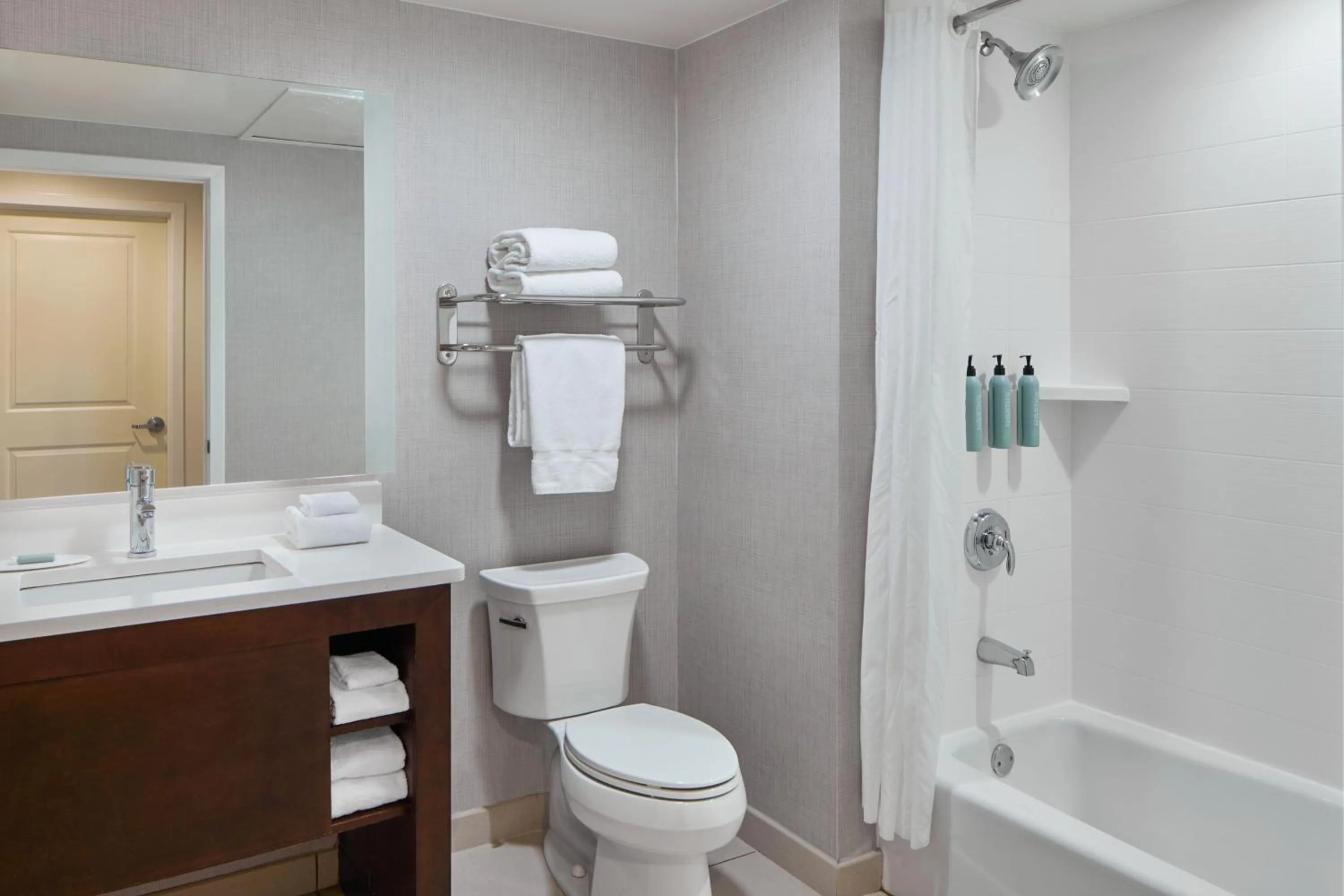 Bathroom in Residence Inn Atlanta NE/Duluth Sugarloaf