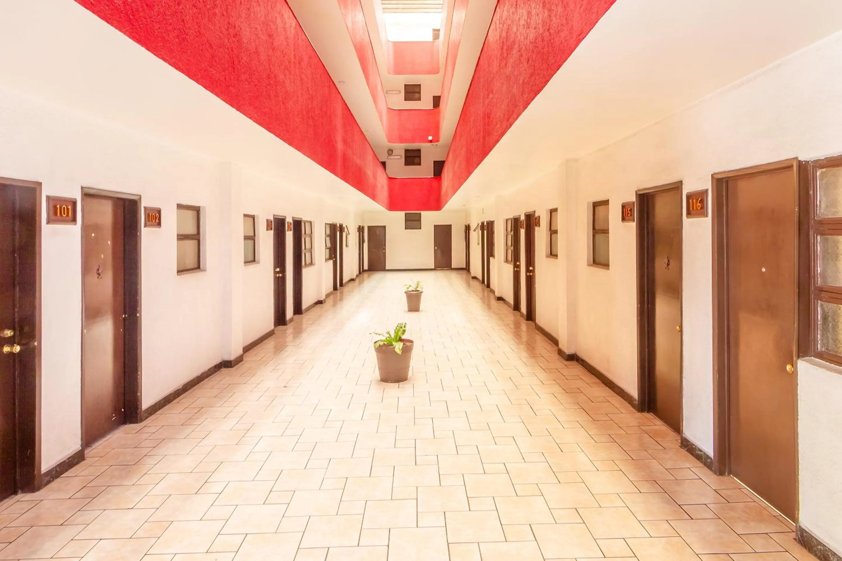 Area and facilities in OYO Hotel Del Parque