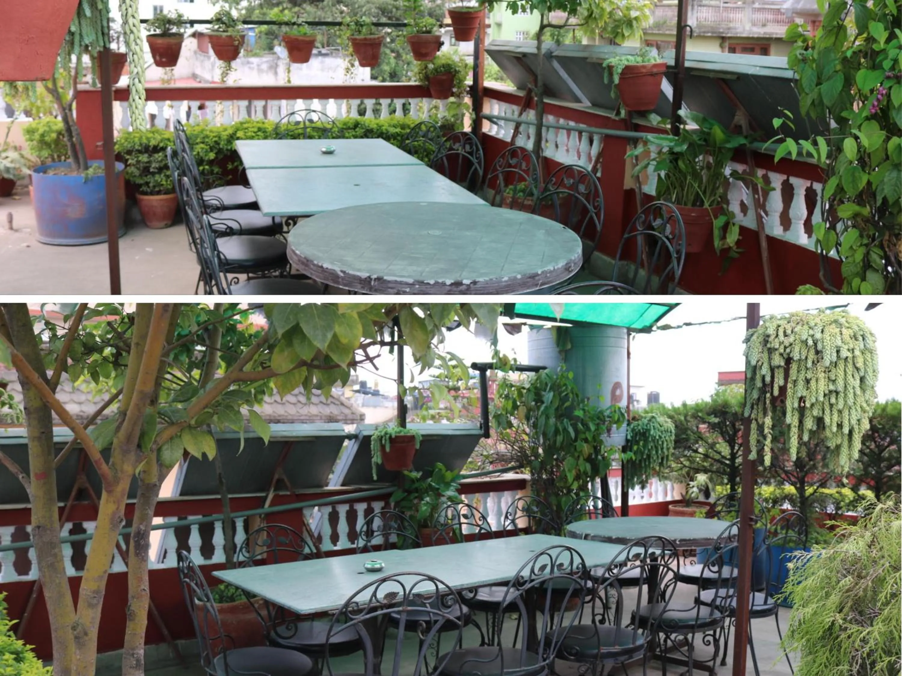 Garden in Kathmandu Peace Guesthouse