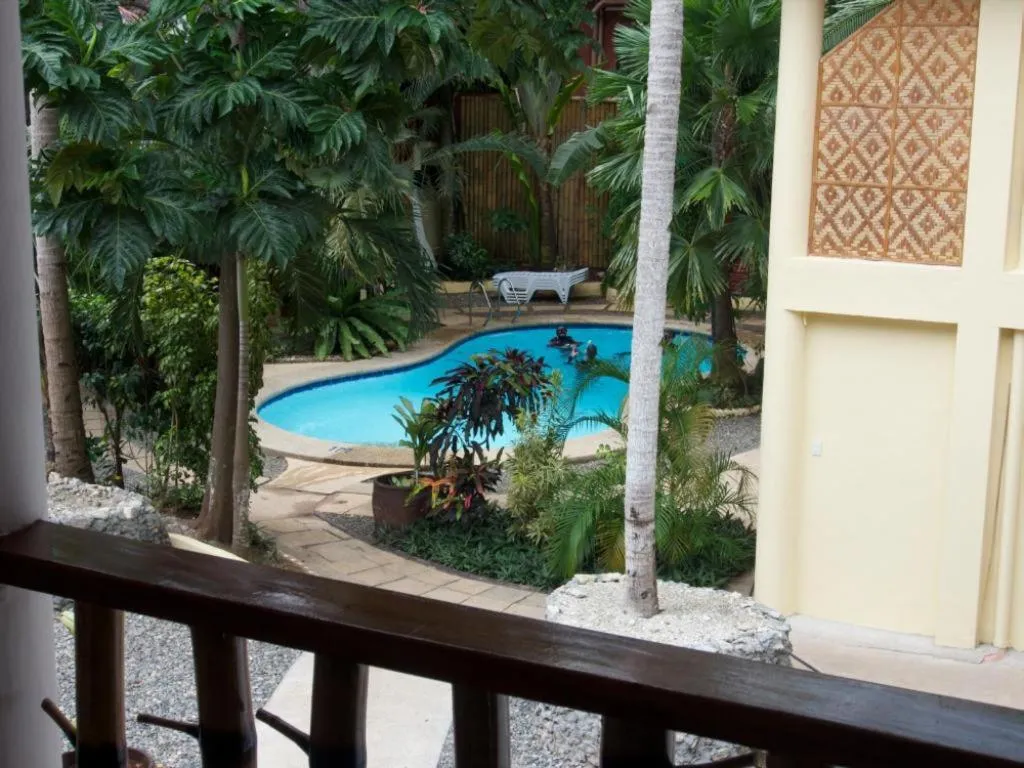 View (from property/room) in Alona Vida Beach Resort