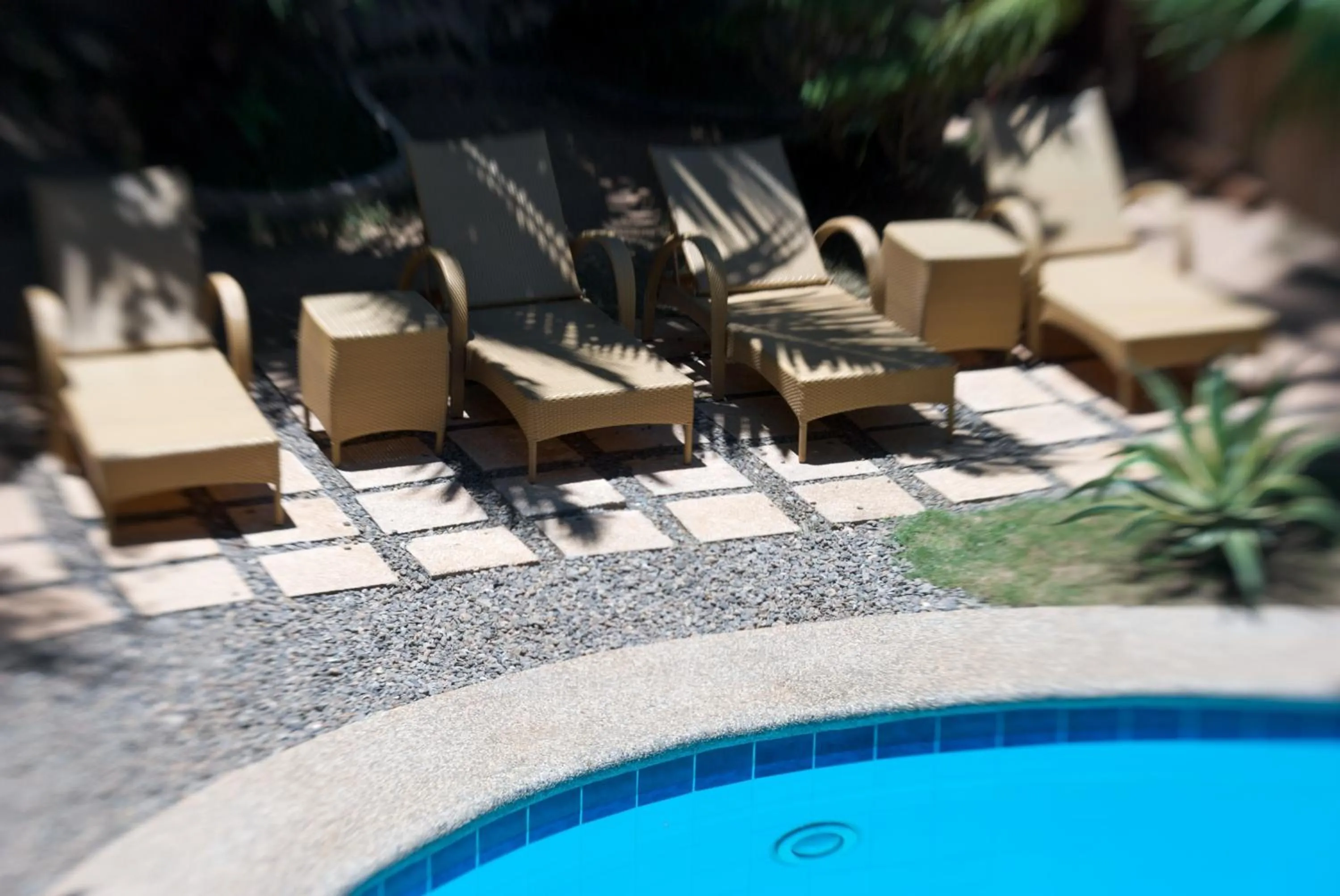 Swimming pool in Alona Vida Beach Resort